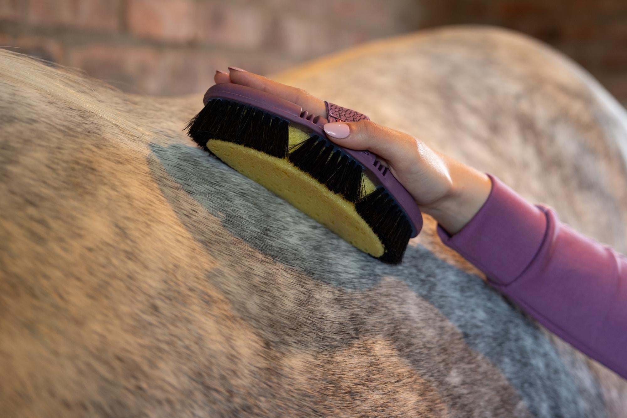 LeMieux Powder Blue Flexi Sponge Brush-Horse Brush-LeMieux-Evolution Equestrian Co.