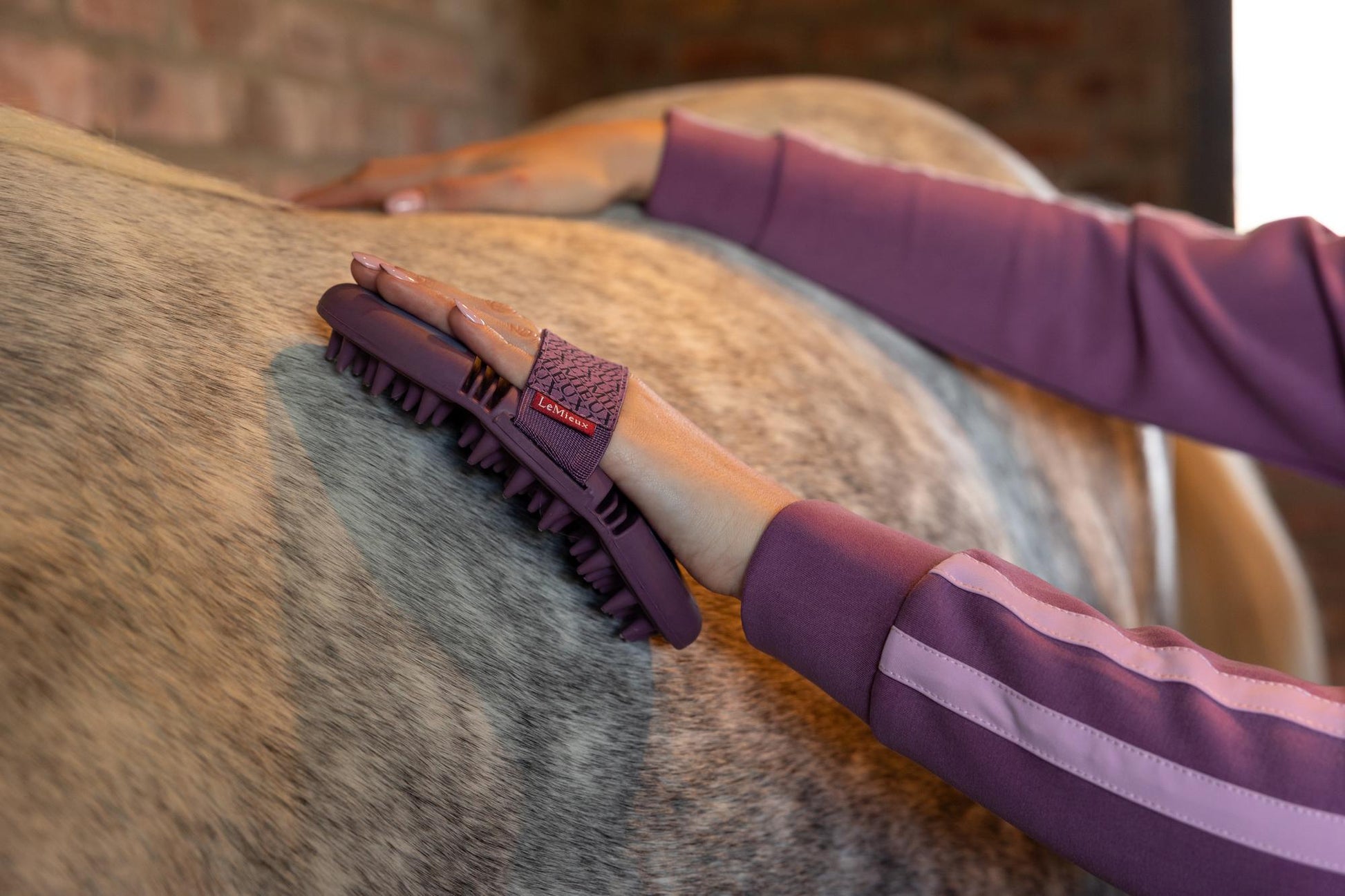 LeMieux Powder Blue Massage Brush-Horse Brush-LeMieux-Evolution Equestrian Co.