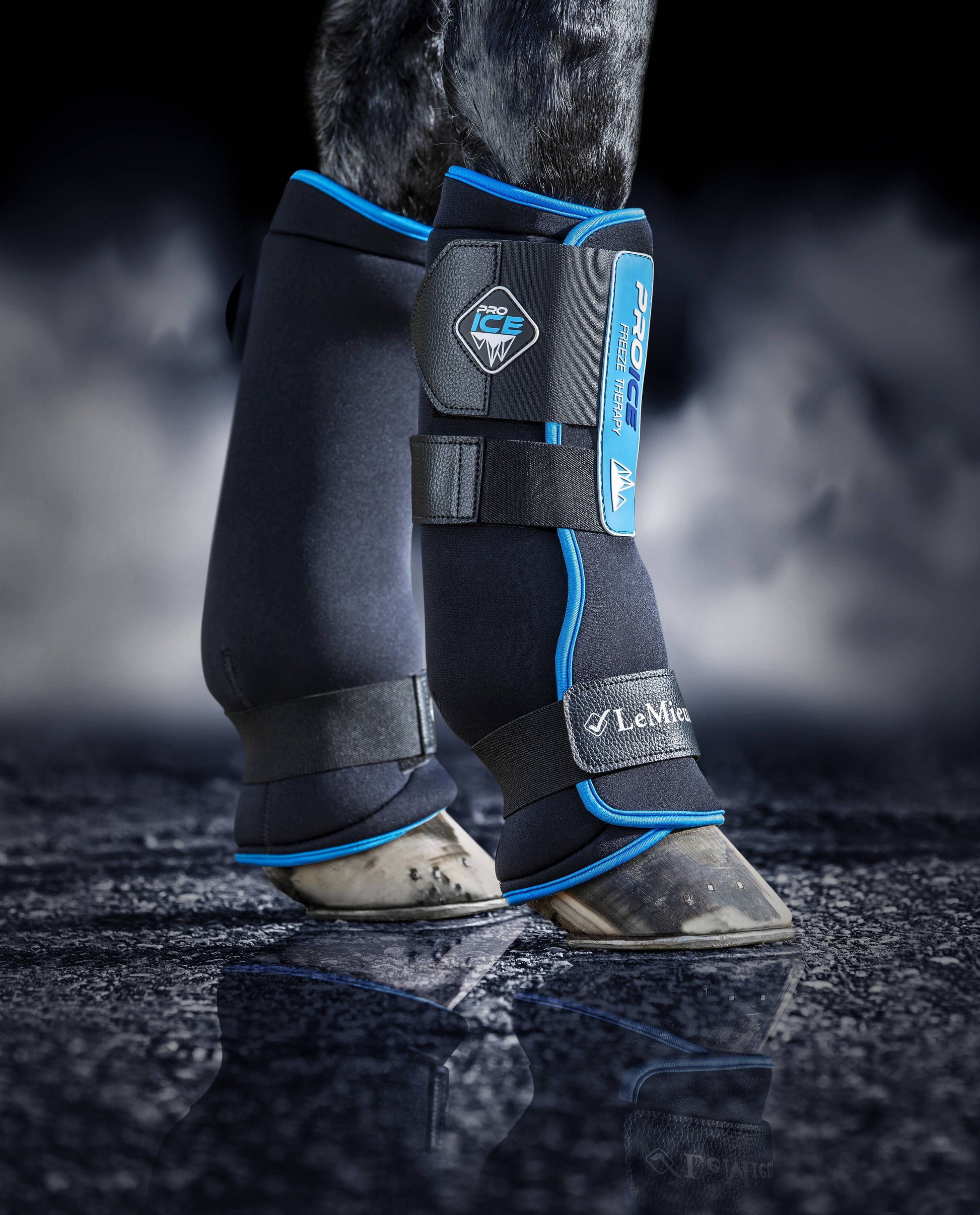 LeMieux ProIce Freeze Boots-Horse Health-LeMieux-Medium-Evolution Equestrian Co.