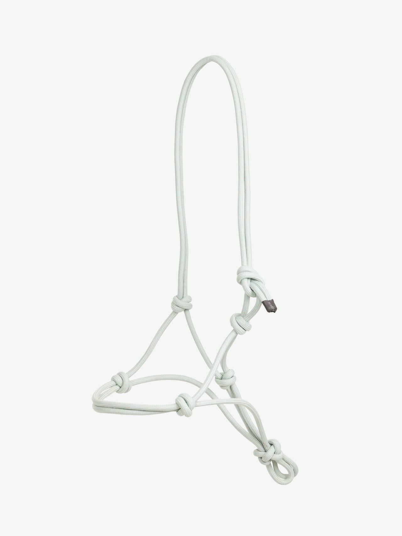 LeMieux Rope Halter Aqua-Halter-LeMieux-Evolution Equestrian Co.