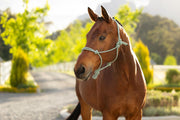 LeMieux Rope Halter Macaron-Halter-LeMieux-Evolution Equestrian Co.