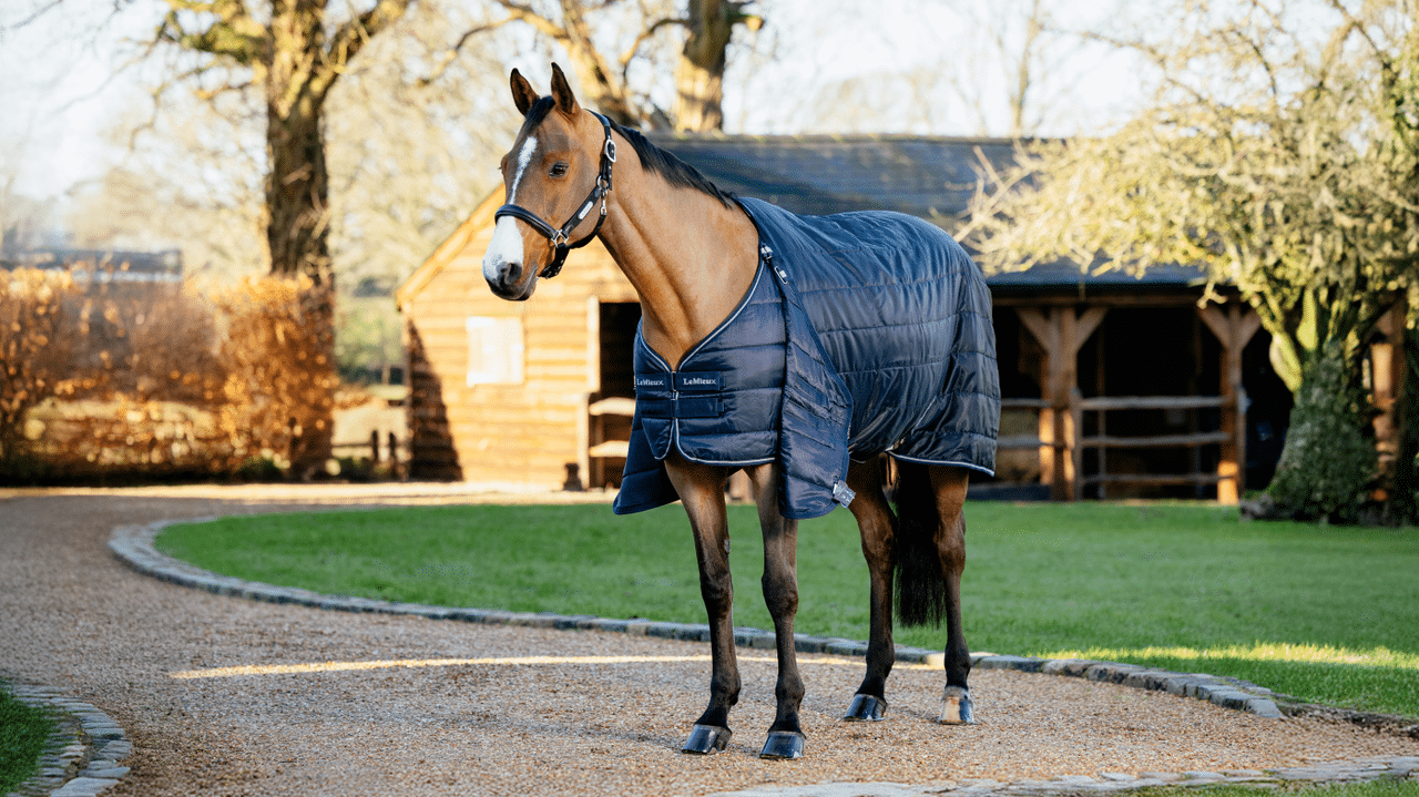 LeMieux Rug Liner 100g-Horse Blanket-LeMieux-69"-Evolution Equestrian Co.