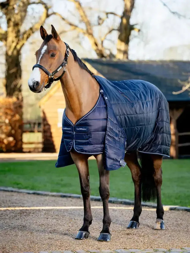 LeMieux Rug Liner 50g-Horse Blanket-LeMieux-6'6" | 78"-Evolution Equestrian Co.