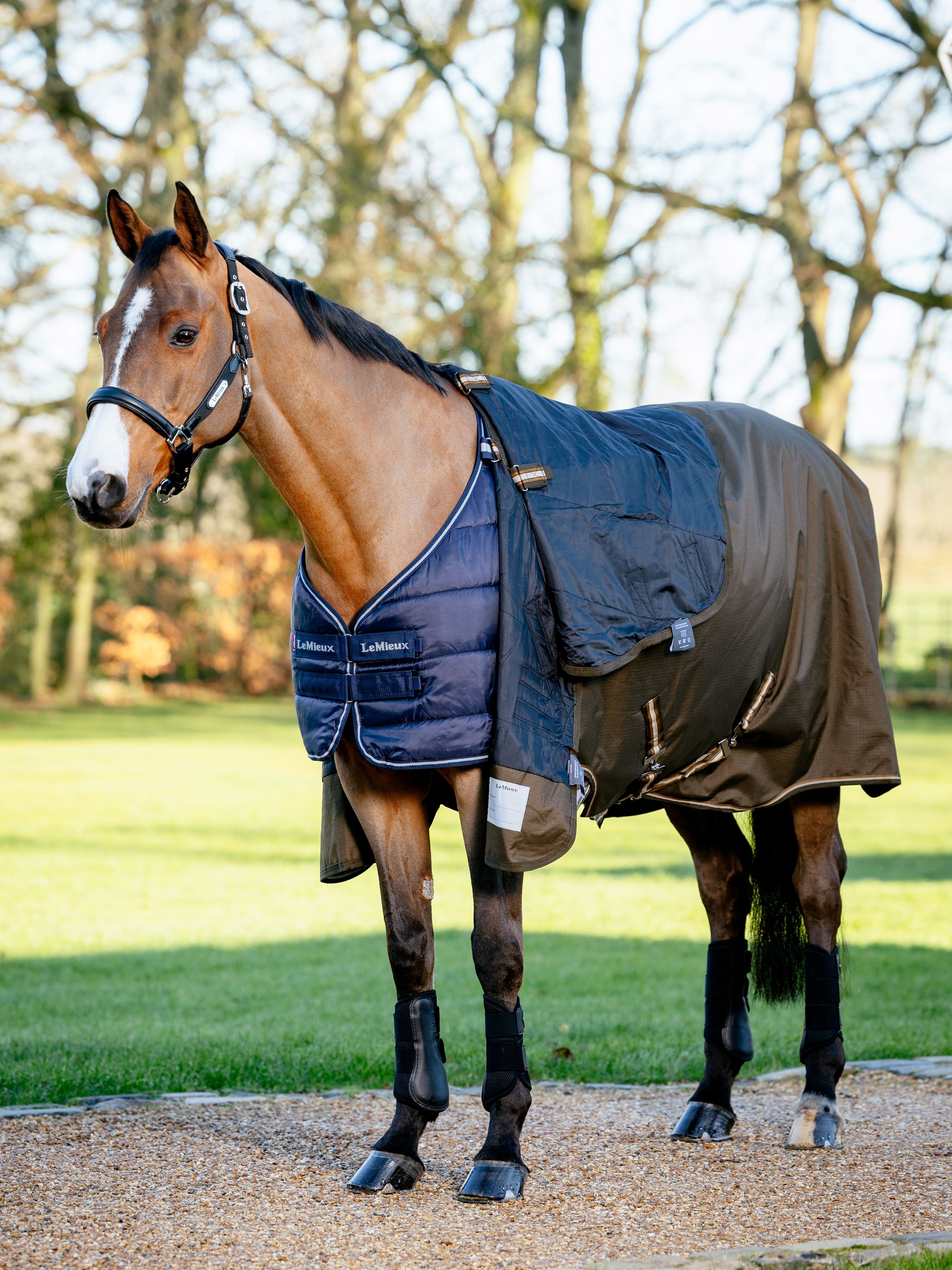 LeMieux Rug Liner 50g-Horse Blanket-LeMieux-6'6" | 78"-Evolution Equestrian Co.