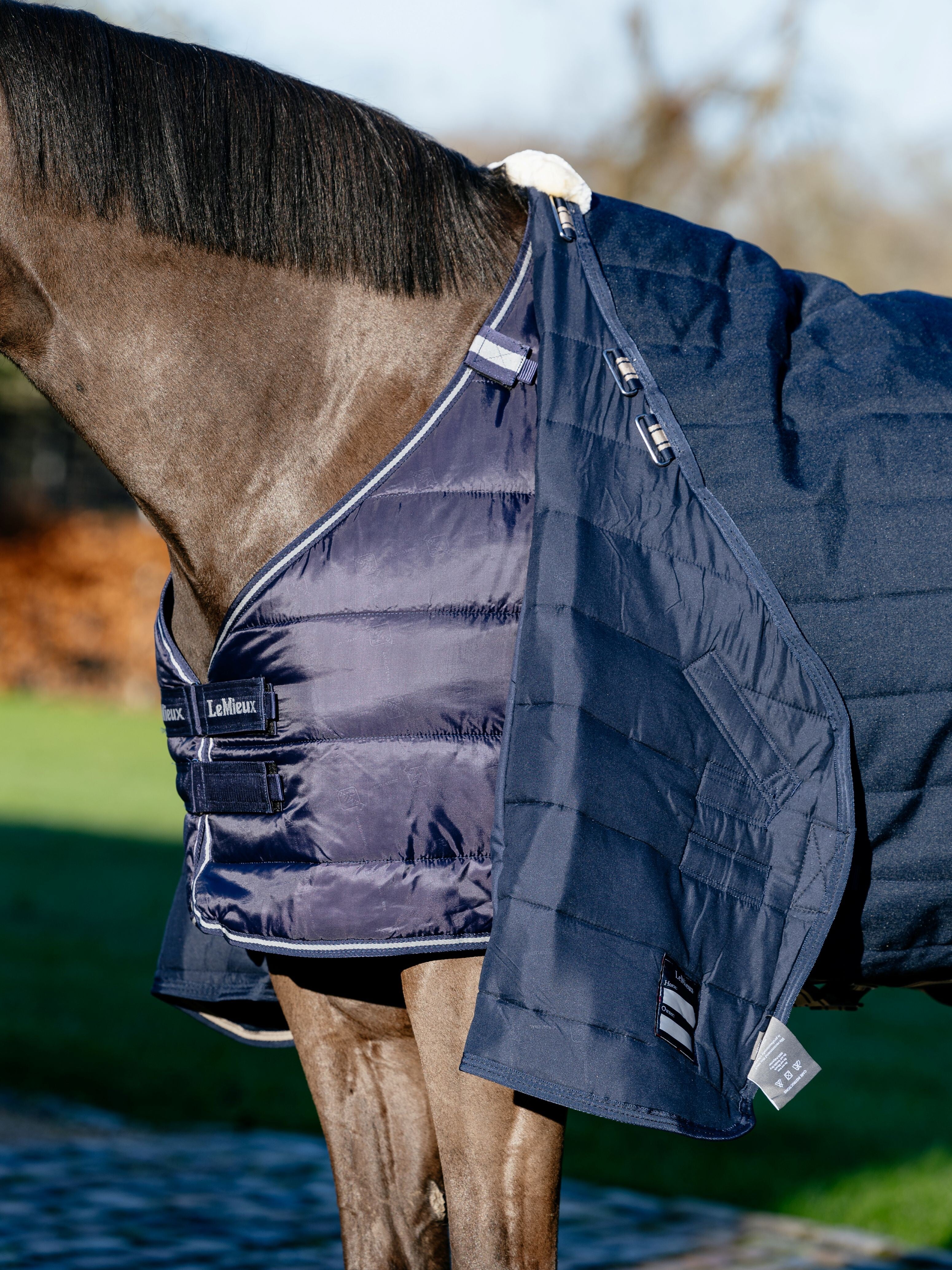 LeMieux Rug Liner 50g-Horse Blanket-LeMieux-6'6" | 78"-Evolution Equestrian Co.