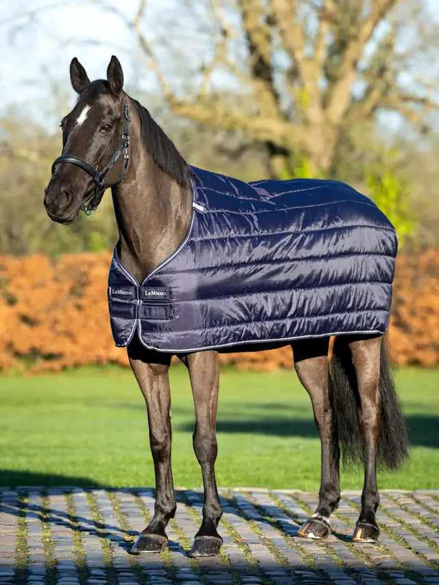 LeMieux Rug Liner 50g-Horse Blanket-LeMieux-6'6