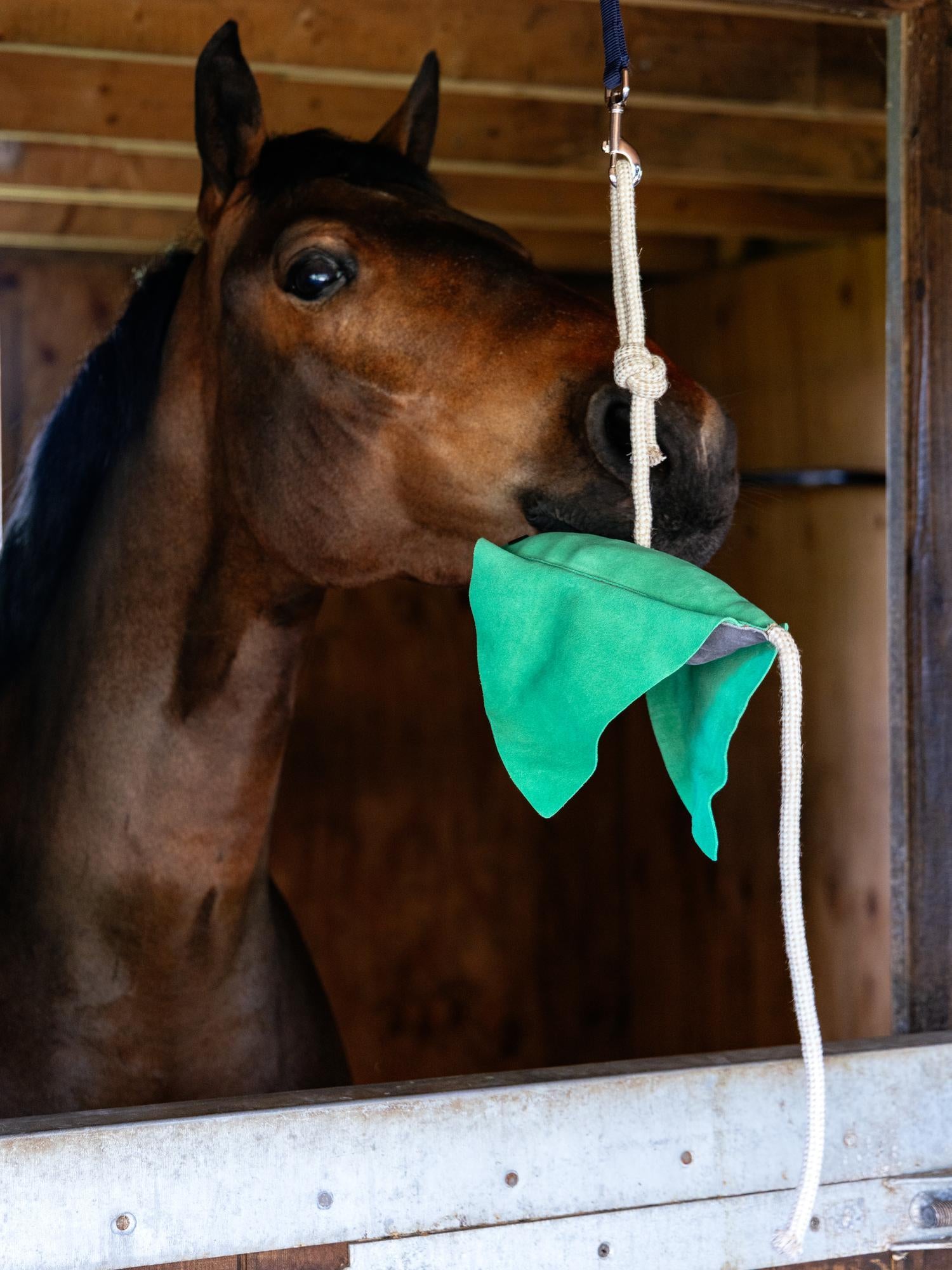 LeMieux Stingray Horse Toy-Horse Toy-LeMieux-Evolution Equestrian Co.