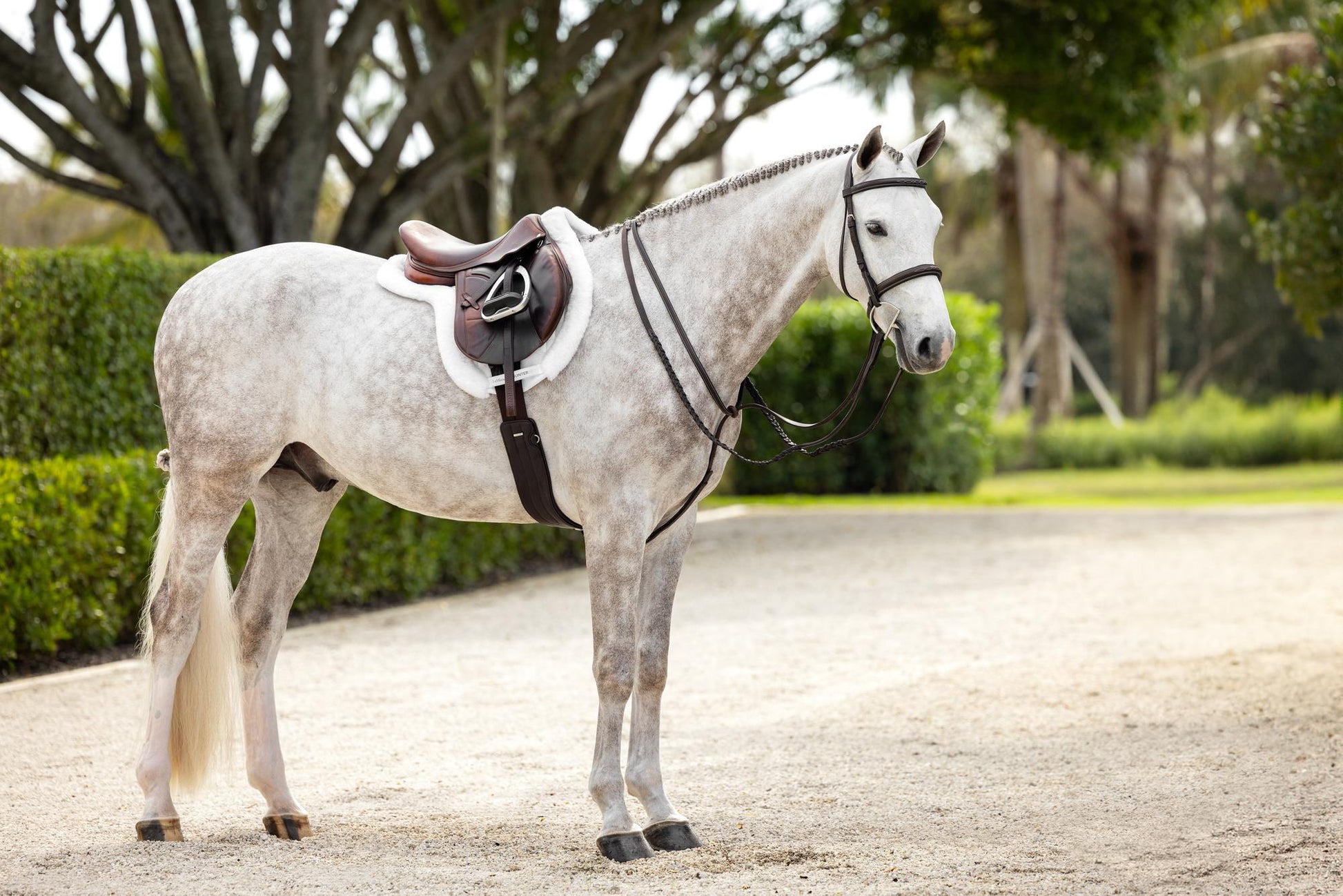 LeMieux Stitched Hunter Bridle with Laced Reins-Bridle-LeMieux-Pony-Evolution Equestrian Co.