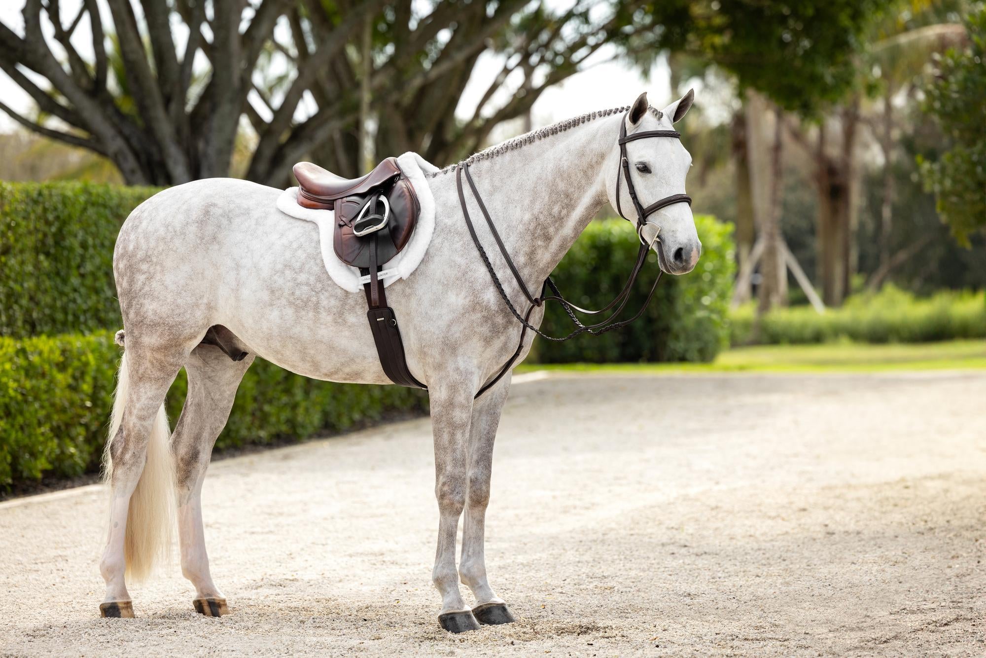 LeMieux Stitched Hunter Bridle with Laced Reins-Bridle-LeMieux-Pony-Evolution Equestrian Co.