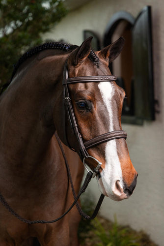 LeMieux Stitched Hunter Bridle with Laced Reins-Bridle-LeMieux-Pony-Evolution Equestrian Co.