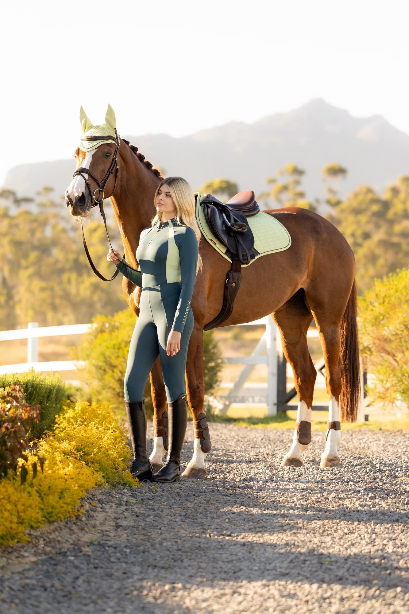 LeMieux Suede Close Contact Saddle Pad Macaron-English Saddle Pad-LeMieux-Evolution Equestrian Co.