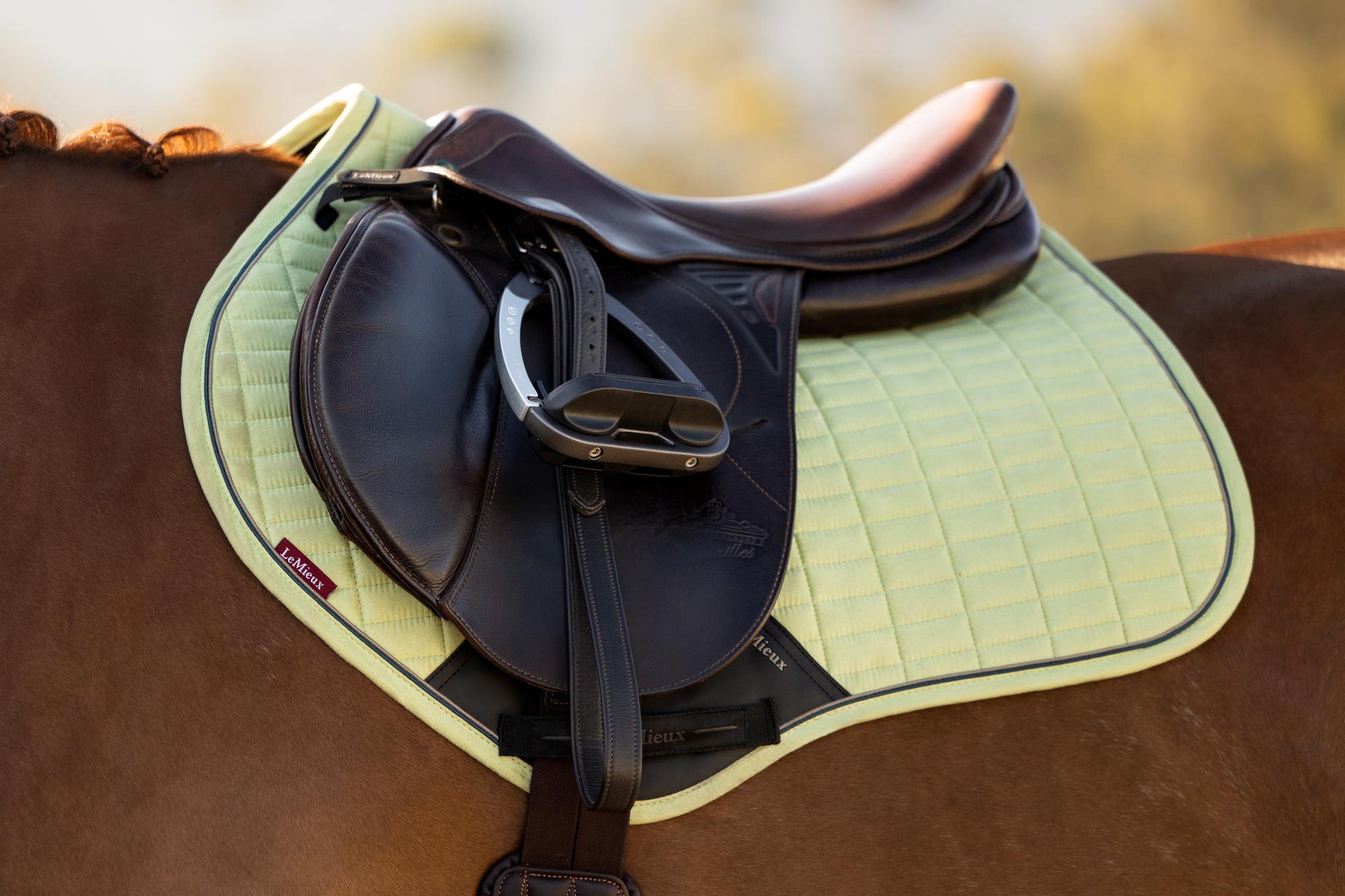 LeMieux Suede Close Contact Saddle Pad Macaron-English Saddle Pad-LeMieux-Evolution Equestrian Co.