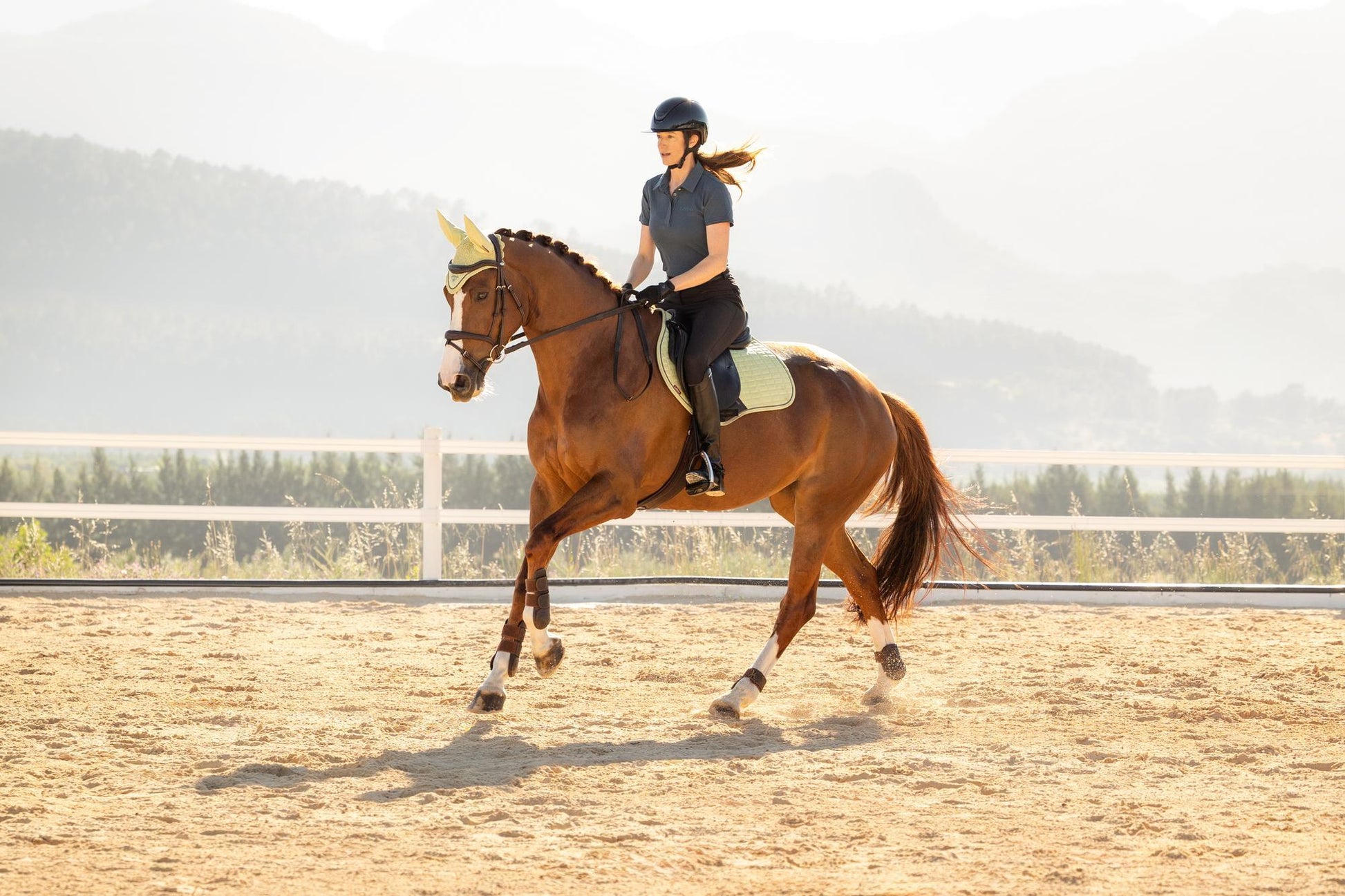 LeMieux Suede Close Contact Saddle Pad Macaron-English Saddle Pad-LeMieux-Evolution Equestrian Co.