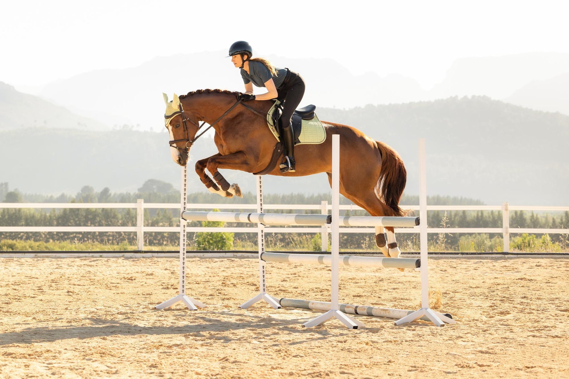 LeMieux Suede Close Contact Saddle Pad Macaron-English Saddle Pad-LeMieux-Evolution Equestrian Co.