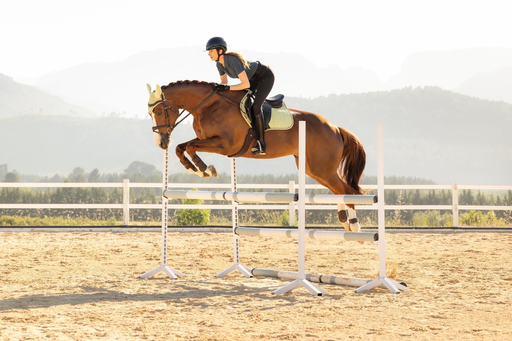 LeMieux Suede Close Contact Saddle Pad Macaron-English Saddle Pad-LeMieux-Evolution Equestrian Co.