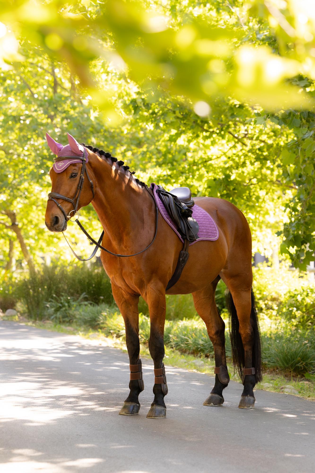 LeMieux Suede Close Contact Saddle Pad Mallow-English Saddle Pad-LeMieux-Evolution Equestrian Co.
