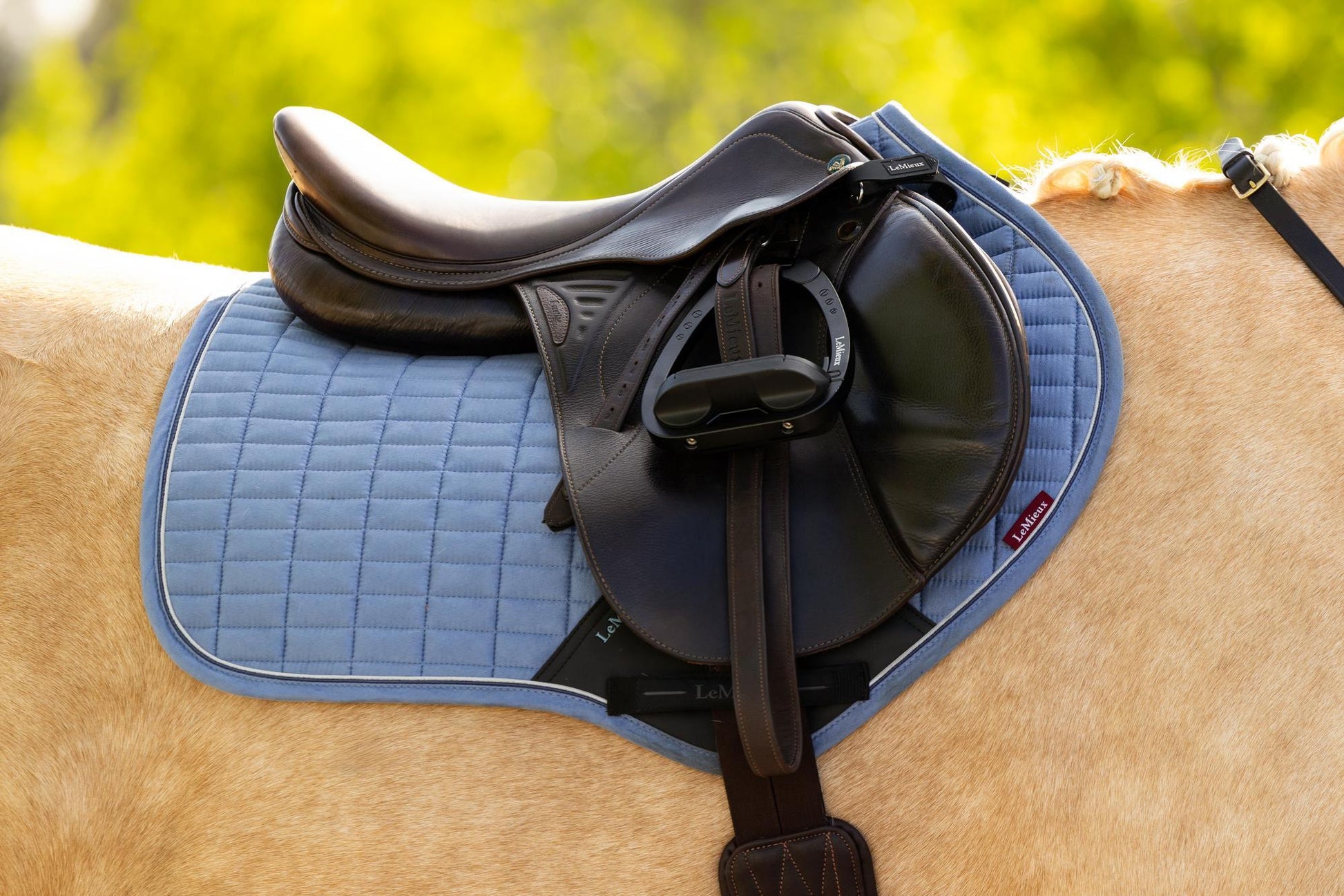 LeMieux Suede Close Contact Saddle Pad Powder Blue-English Saddle Pad-LeMieux-Small/Medium-Evolution Equestrian Co.