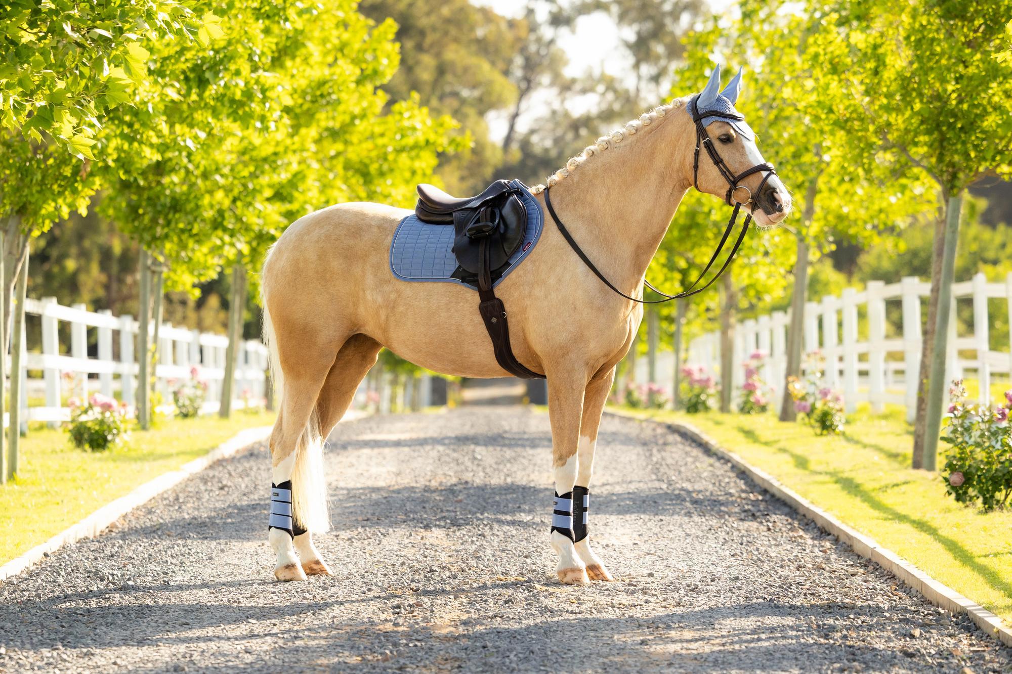 LeMieux Suede Close Contact Saddle Pad Powder Blue-English Saddle Pad-LeMieux-Small/Medium-Evolution Equestrian Co.
