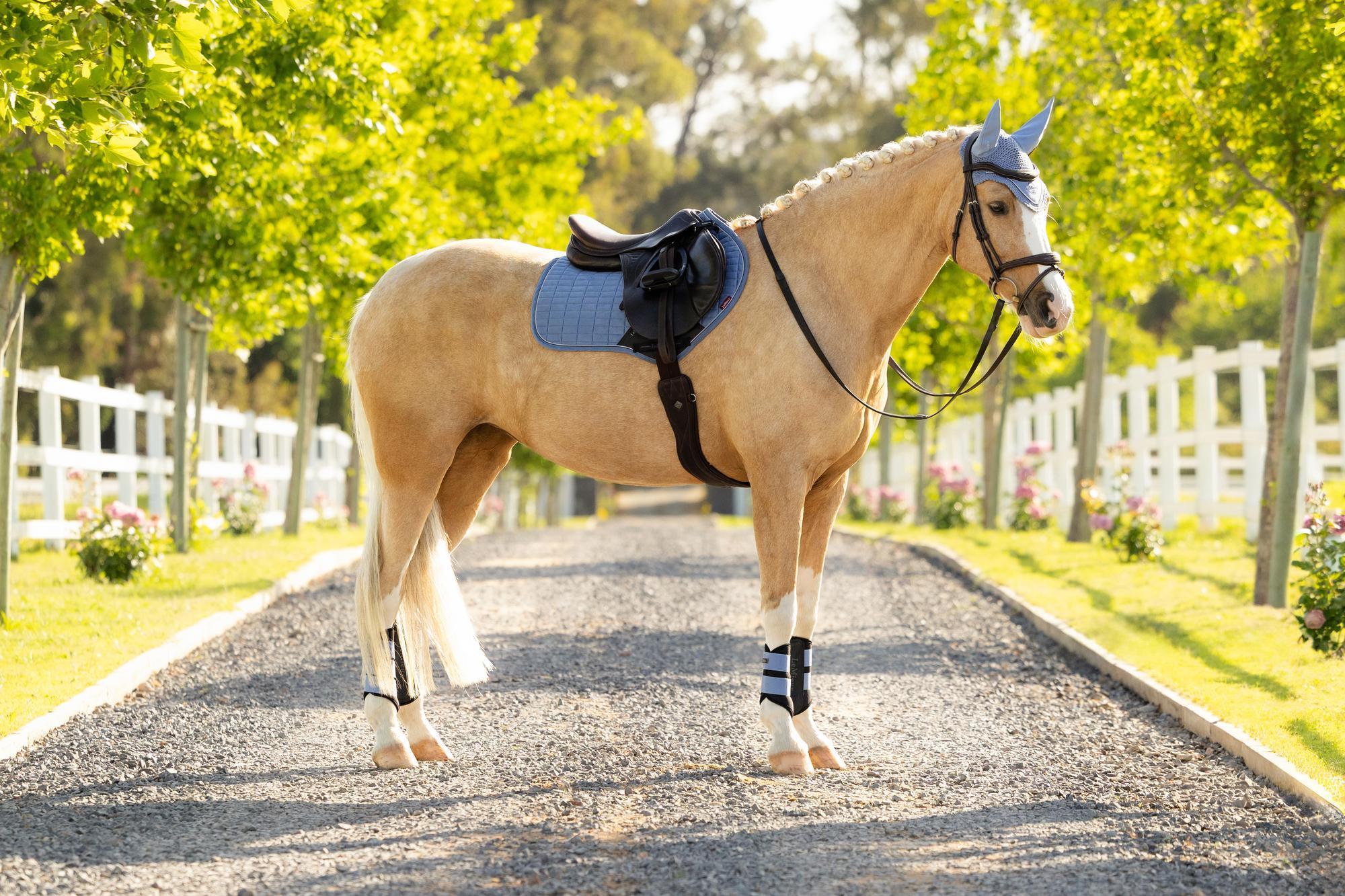 LeMieux Suede Close Contact Saddle Pad Powder Blue-English Saddle Pad-LeMieux-Small/Medium-Evolution Equestrian Co.