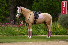 Load image into Gallery viewer, LeMieux Suede Dressage Saddle Pad Blossom-English Saddle Pad-LeMieux-Small/Medium (Cob)-Evolution Equestrian Co.
