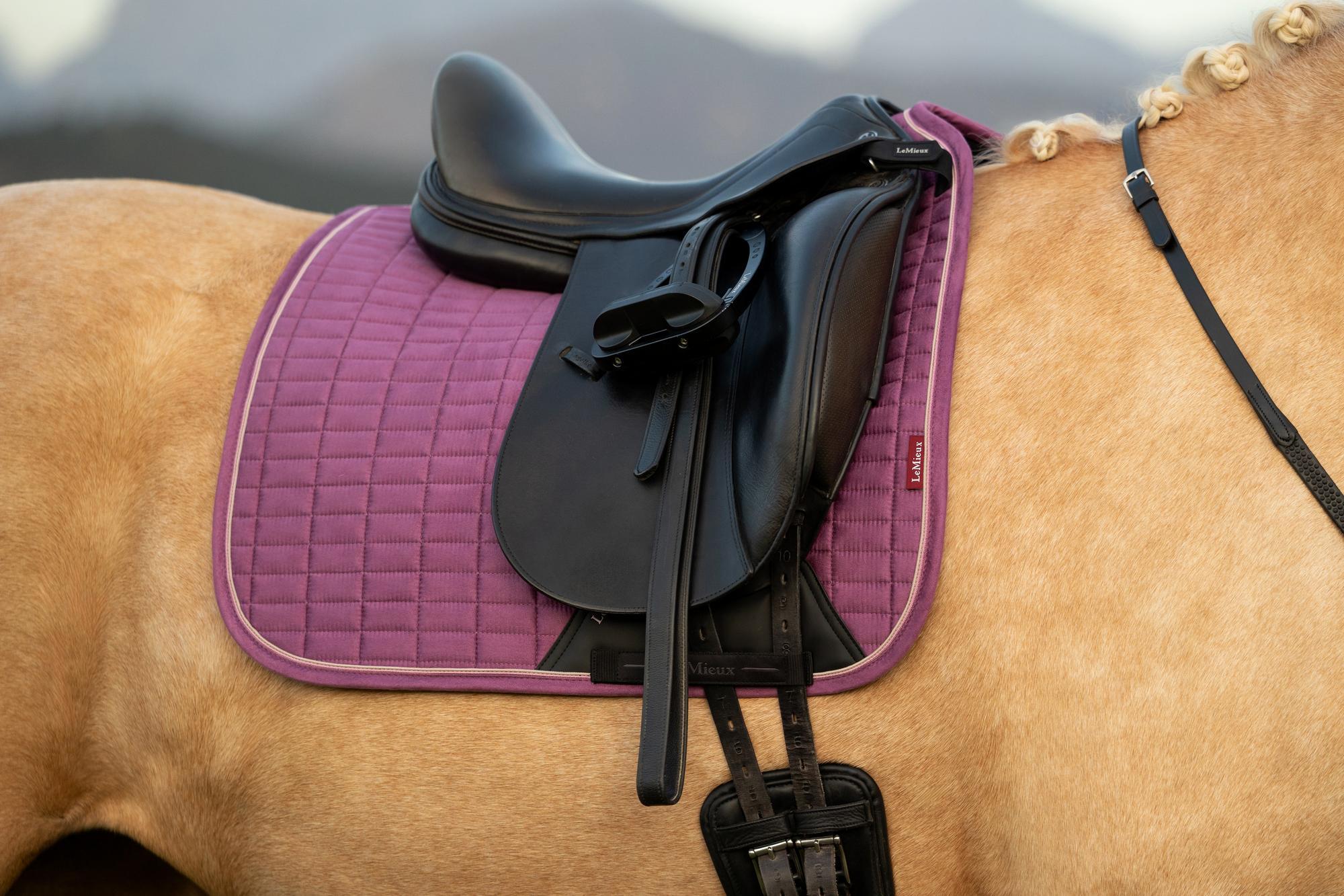 LeMieux Suede Dressage Saddle Pad Mallow-Dressage Saddle Pad-LeMieux-Evolution Equestrian Co.