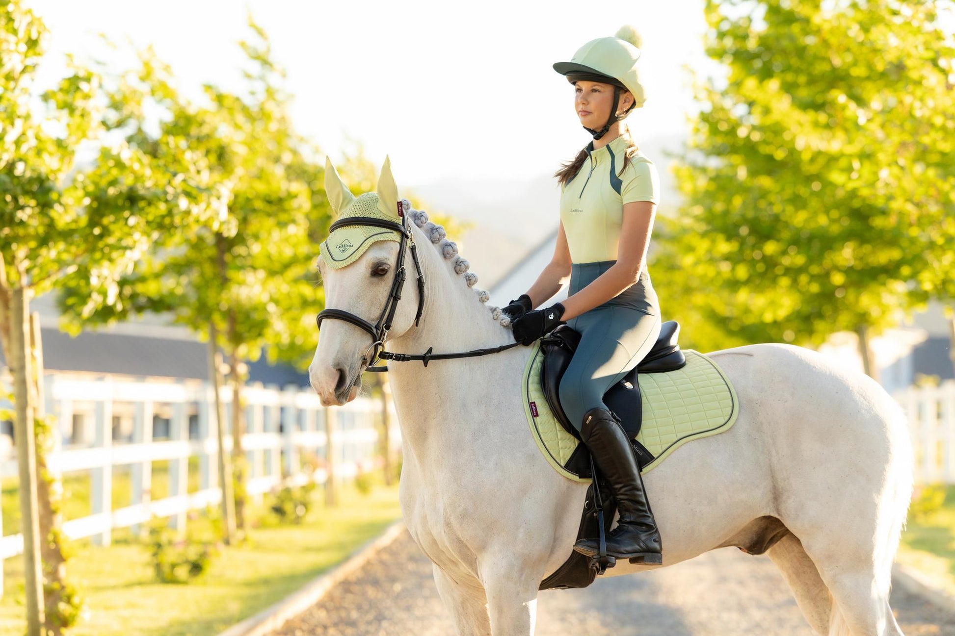 LeMieux Suede GP Saddle Pad Macaron-English Saddle Pad-LeMieux-Large-Evolution Equestrian Co.