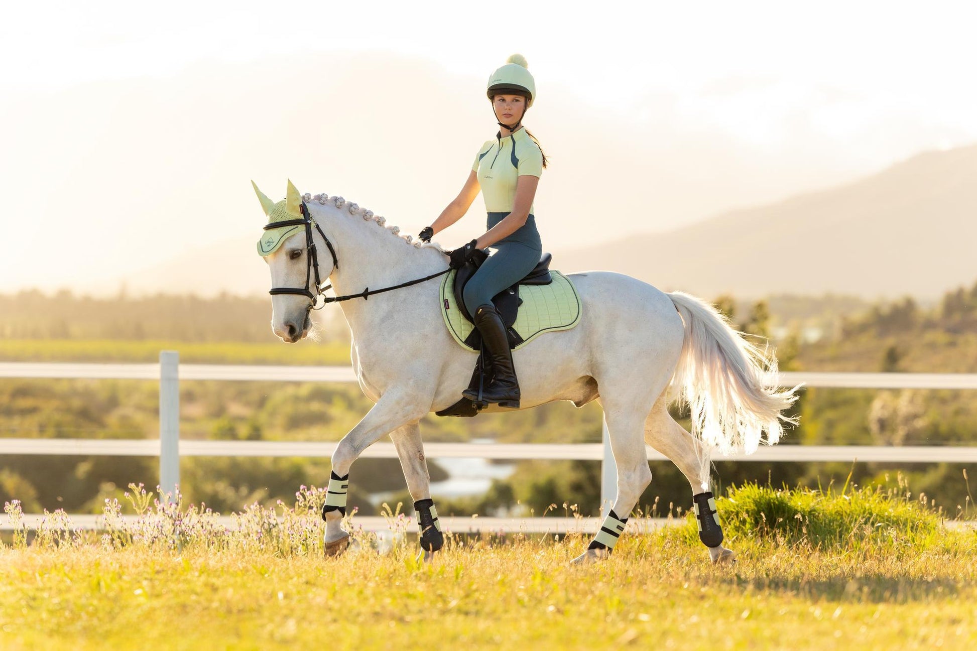 LeMieux Suede GP Saddle Pad Macaron-English Saddle Pad-LeMieux-Large-Evolution Equestrian Co.