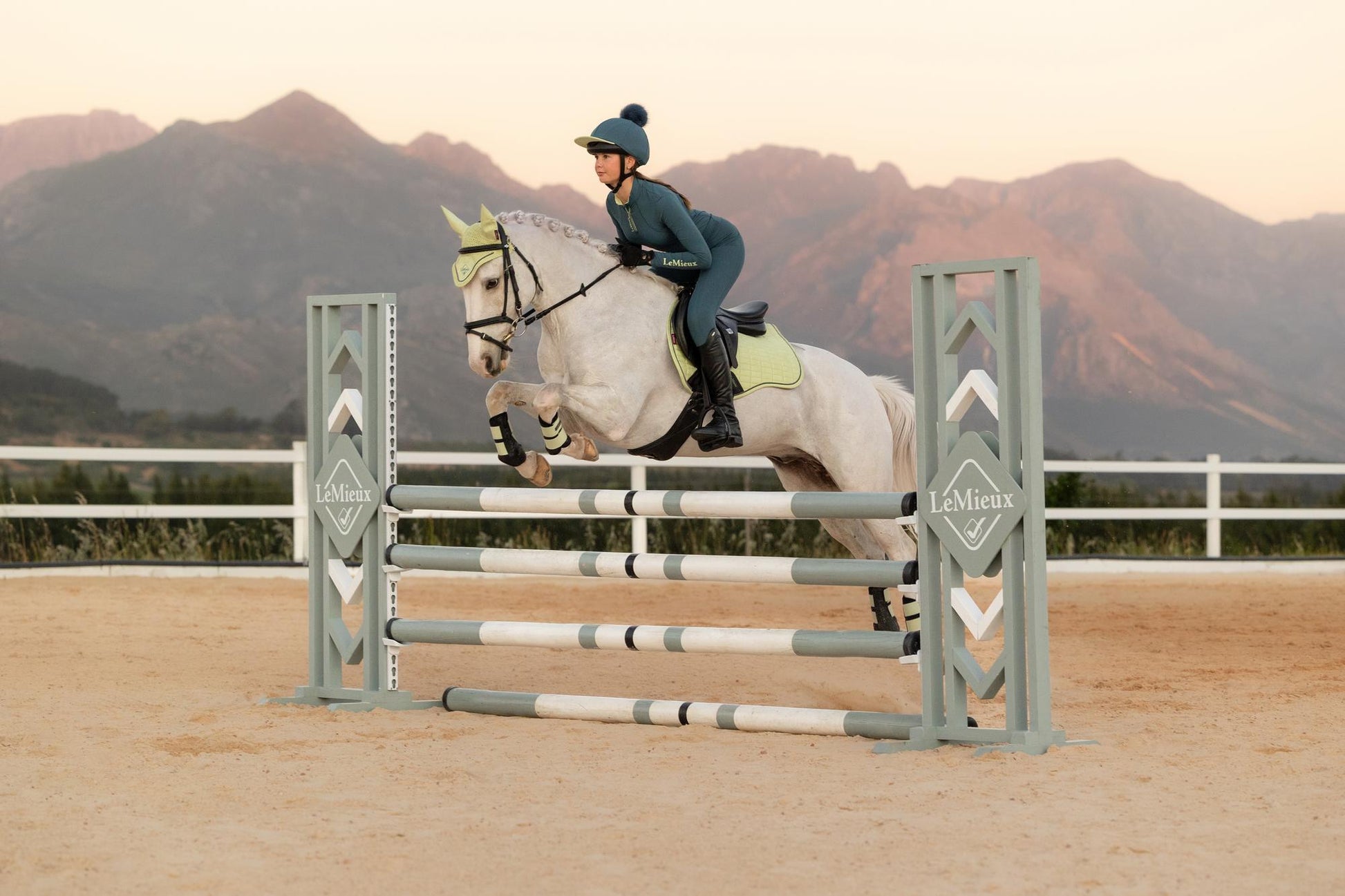 LeMieux Suede GP Saddle Pad Macaron-English Saddle Pad-LeMieux-Large-Evolution Equestrian Co.