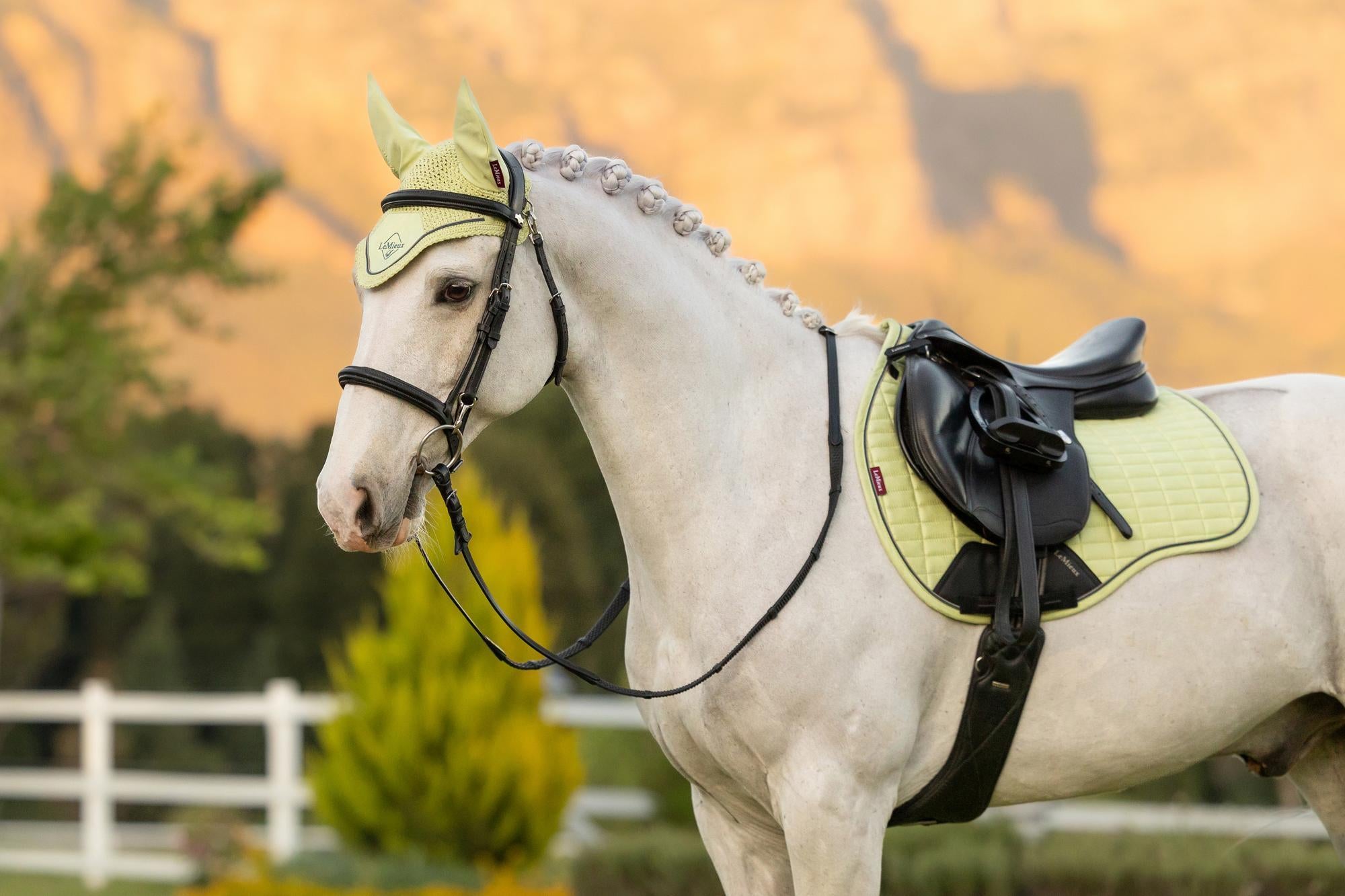 LeMieux Suede GP Saddle Pad Macaron-English Saddle Pad-LeMieux-Large-Evolution Equestrian Co.