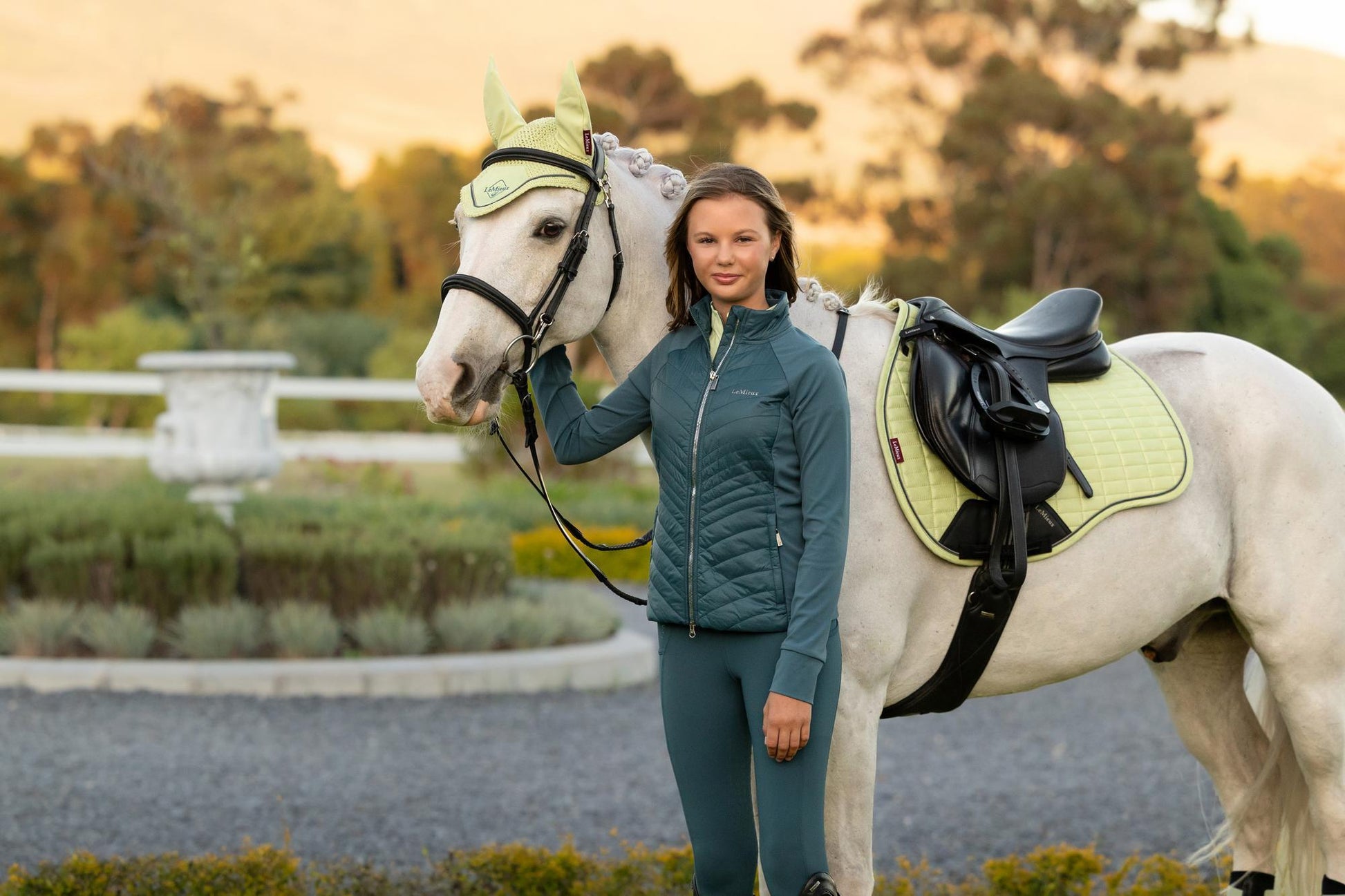 LeMieux Suede GP Saddle Pad Macaron-English Saddle Pad-LeMieux-Large-Evolution Equestrian Co.