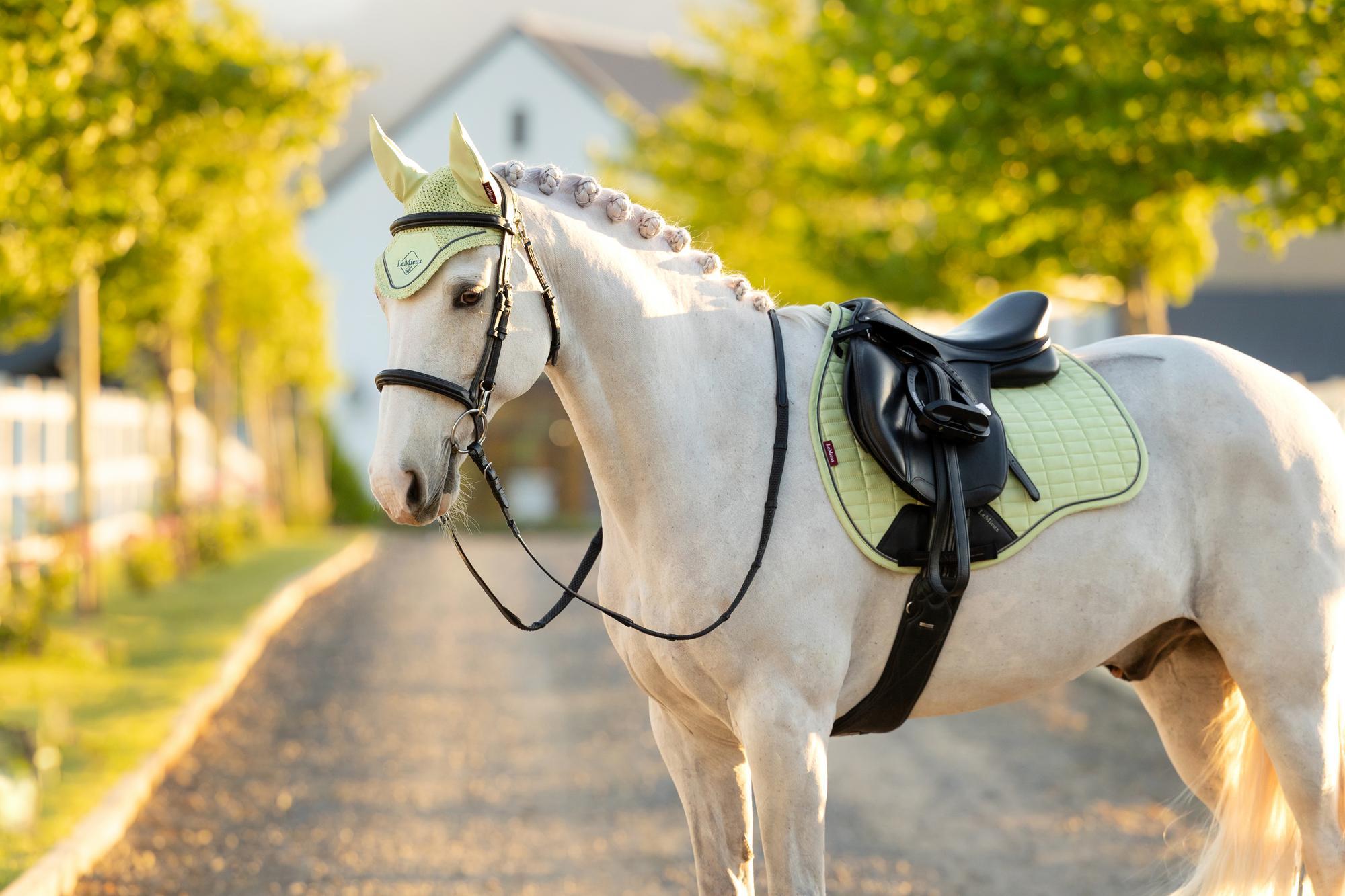 LeMieux Suede GP Saddle Pad Macaron-English Saddle Pad-LeMieux-Large-Evolution Equestrian Co.
