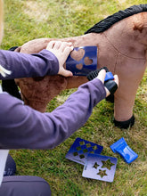 Load image into Gallery viewer, LeMieux Toy Pony Gracie-Toys-LeMieux-Evolution Equestrian Co.
