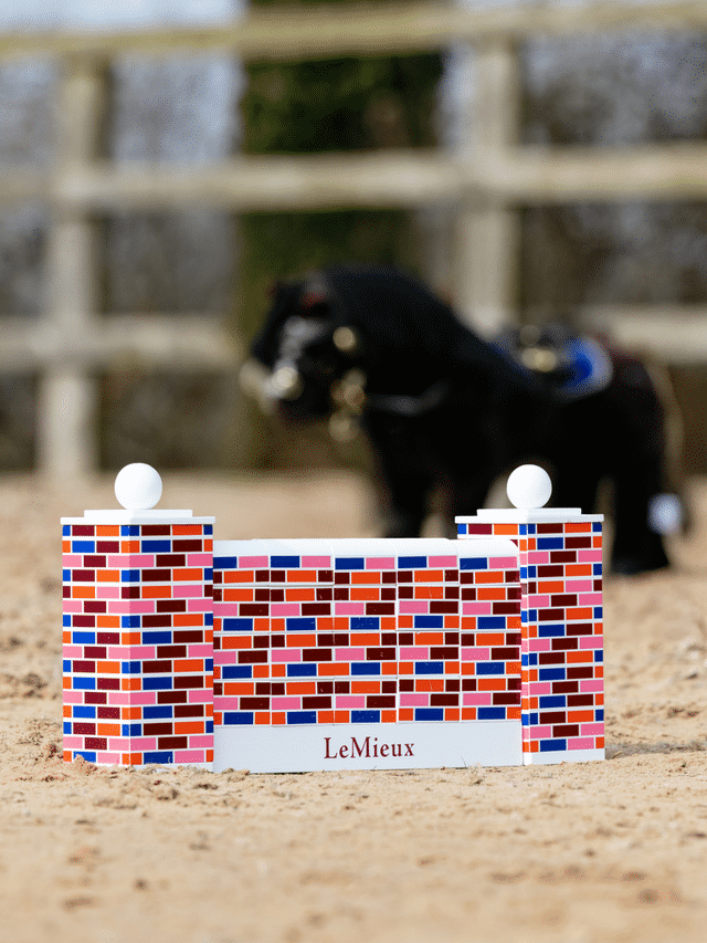 LeMieux Toy Pony Puissance Wall-Toys-LeMieux-Evolution Equestrian Co.