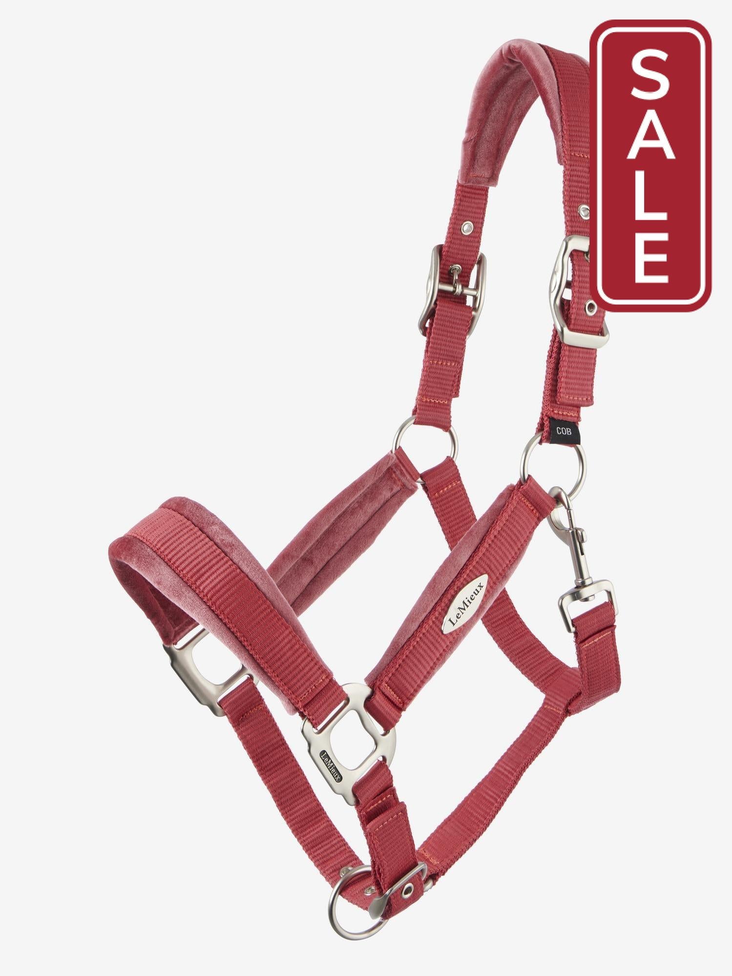 LeMieux Versailles Halter Cranberry-Halter-LeMieux-Cob-Evolution Equestrian Co.