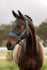 LeMieux Versailles Halter Jungle-Halter-LeMieux-Cob-Evolution Equestrian Co.