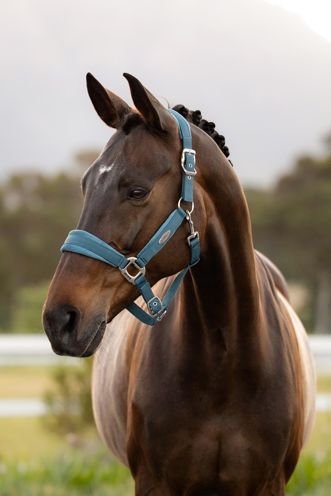 LeMieux Versailles Halter Jungle-Halter-LeMieux-Cob-Evolution Equestrian Co.