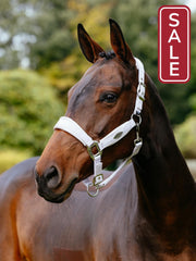 LeMieux Versailles Halter Lilac-Halter-LeMieux-Cob-Evolution Equestrian Co.