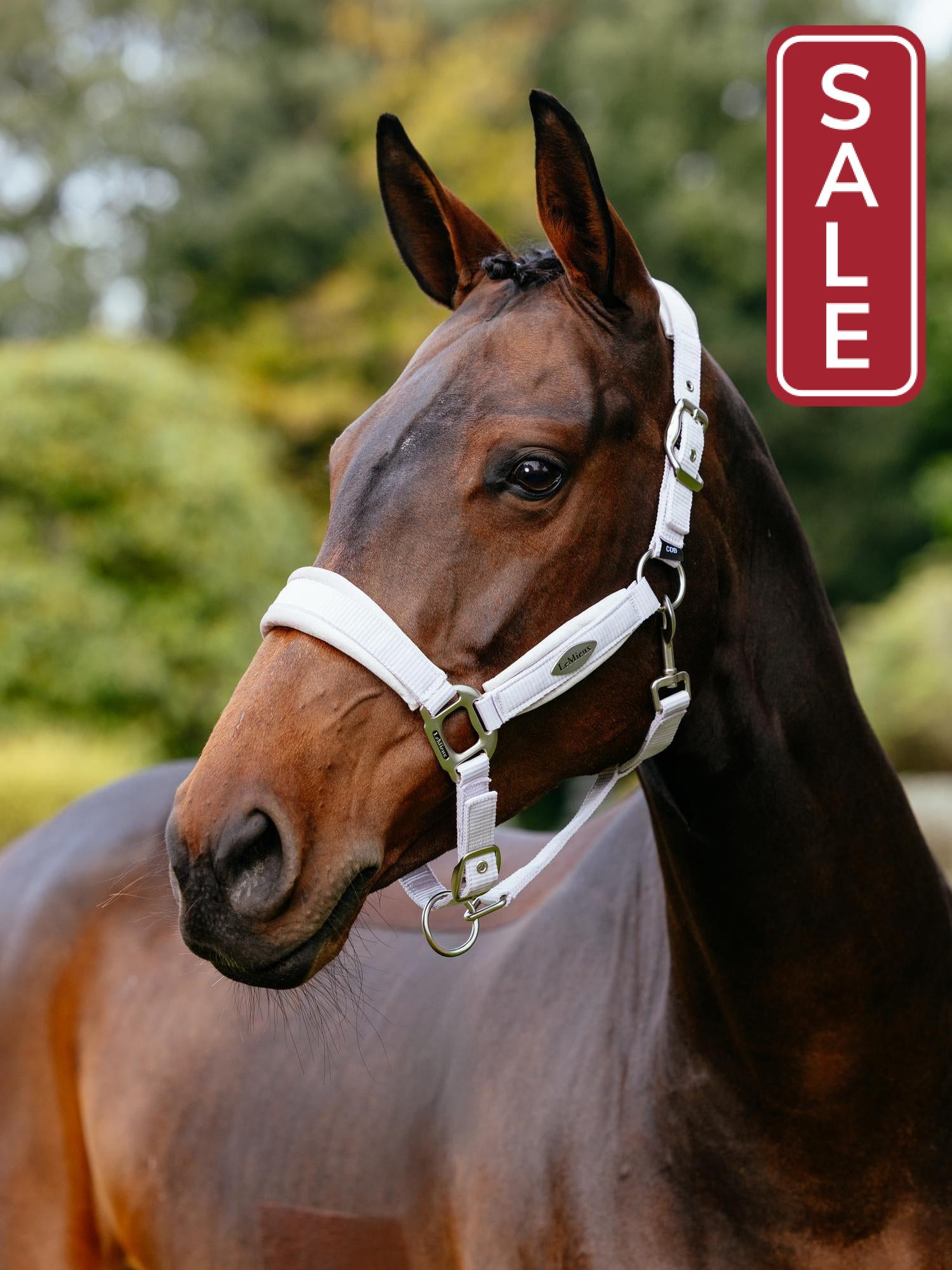 LeMieux Versailles Halter Lilac-Halter-LeMieux-Cob-Evolution Equestrian Co.