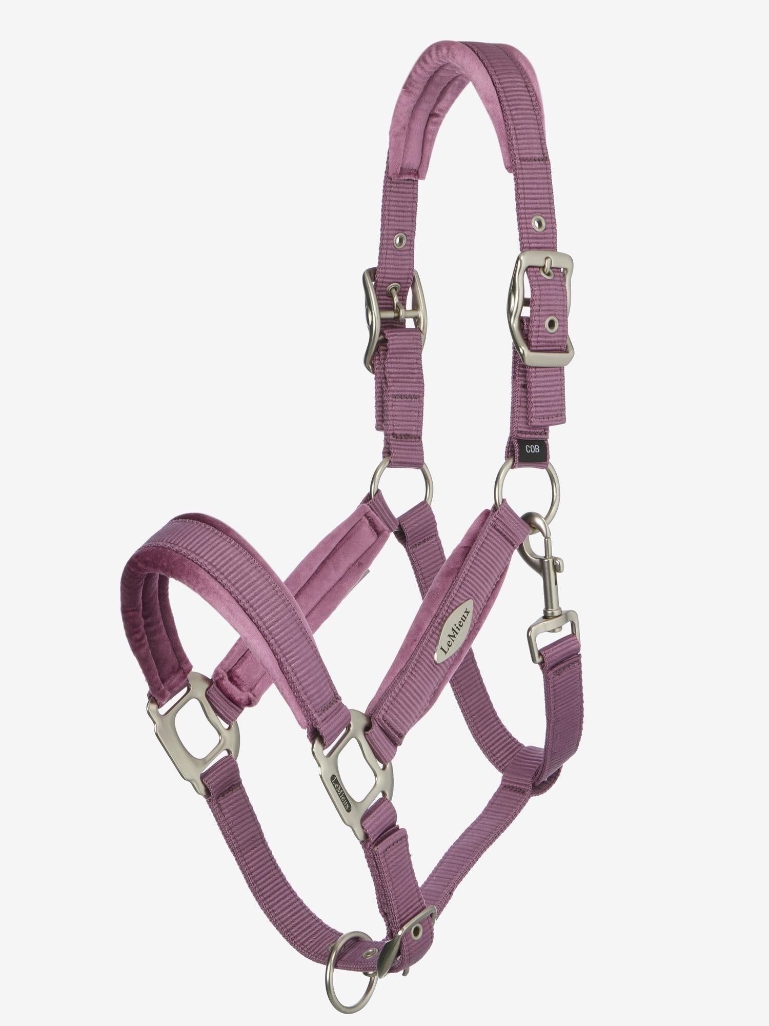 LeMieux Versailles Halter Mallow-Halter-LeMieux-Cob-Evolution Equestrian Co.