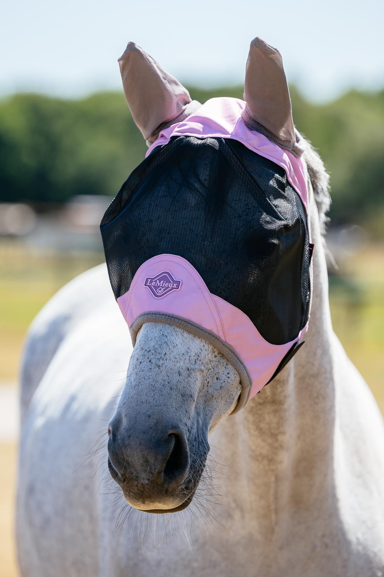 LeMieux Visor-Tek Half Fly Mask-Fly Mask-Evolution Equestrian Co.-Macaron-Medium (Cob)-Evolution Equestrian Co.