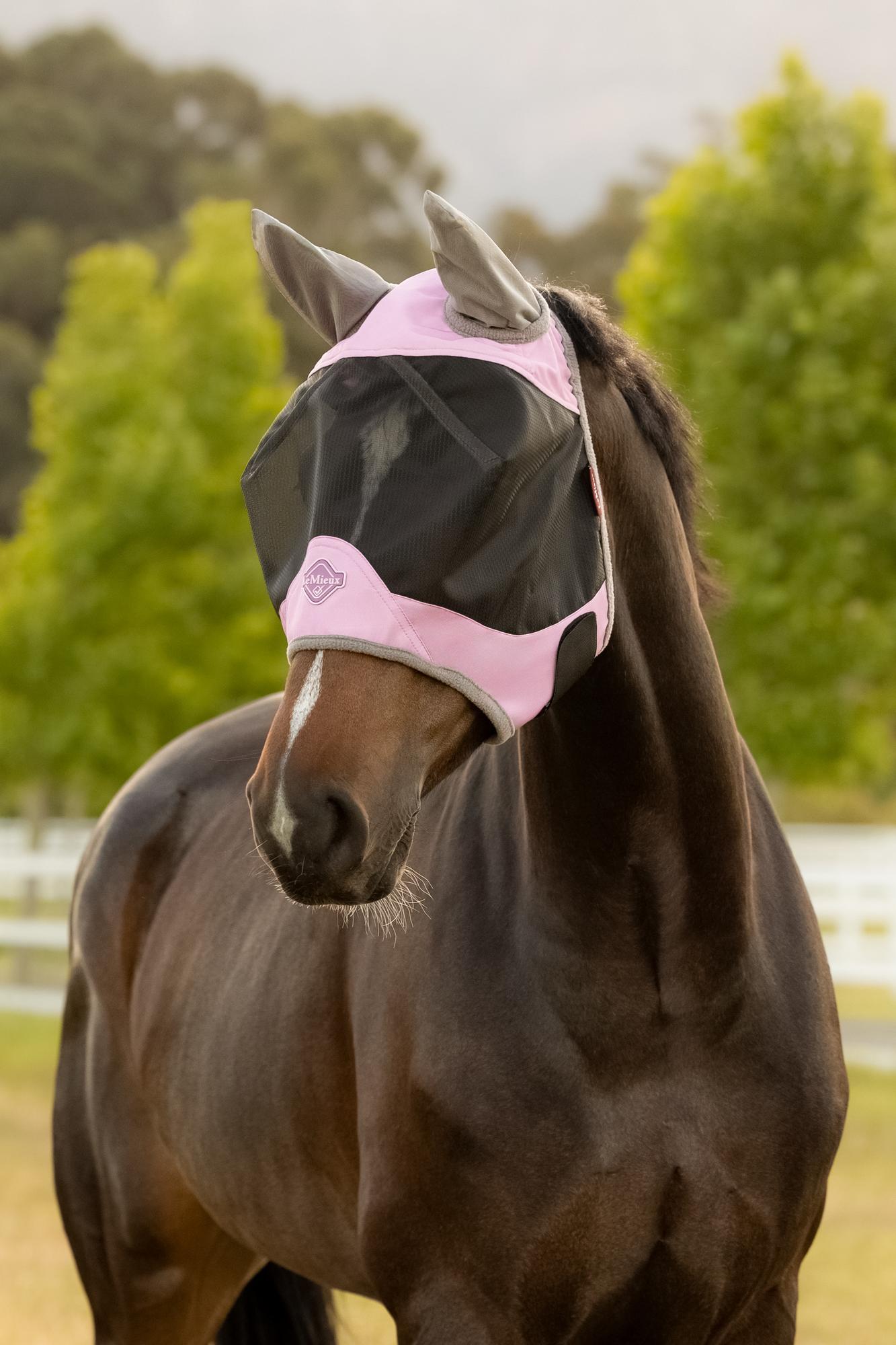 LeMieux Visor-Tek Half Fly Mask-Fly Mask-Evolution Equestrian Co.-Macaron-Medium (Cob)-Evolution Equestrian Co.