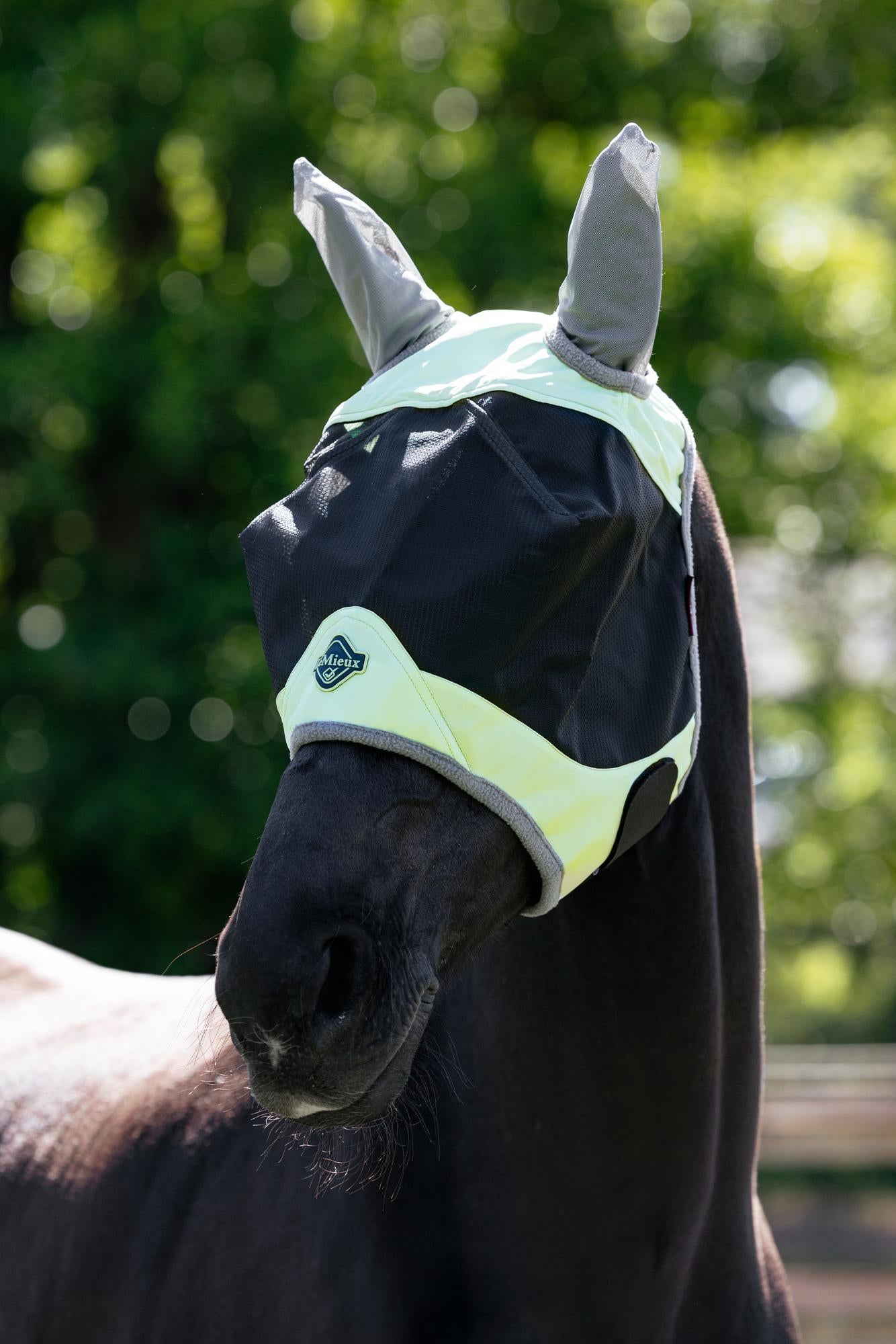 LeMieux Visor-Tek Half Fly Mask-Fly Mask-Evolution Equestrian Co.-Macaron-Medium (Cob)-Evolution Equestrian Co.