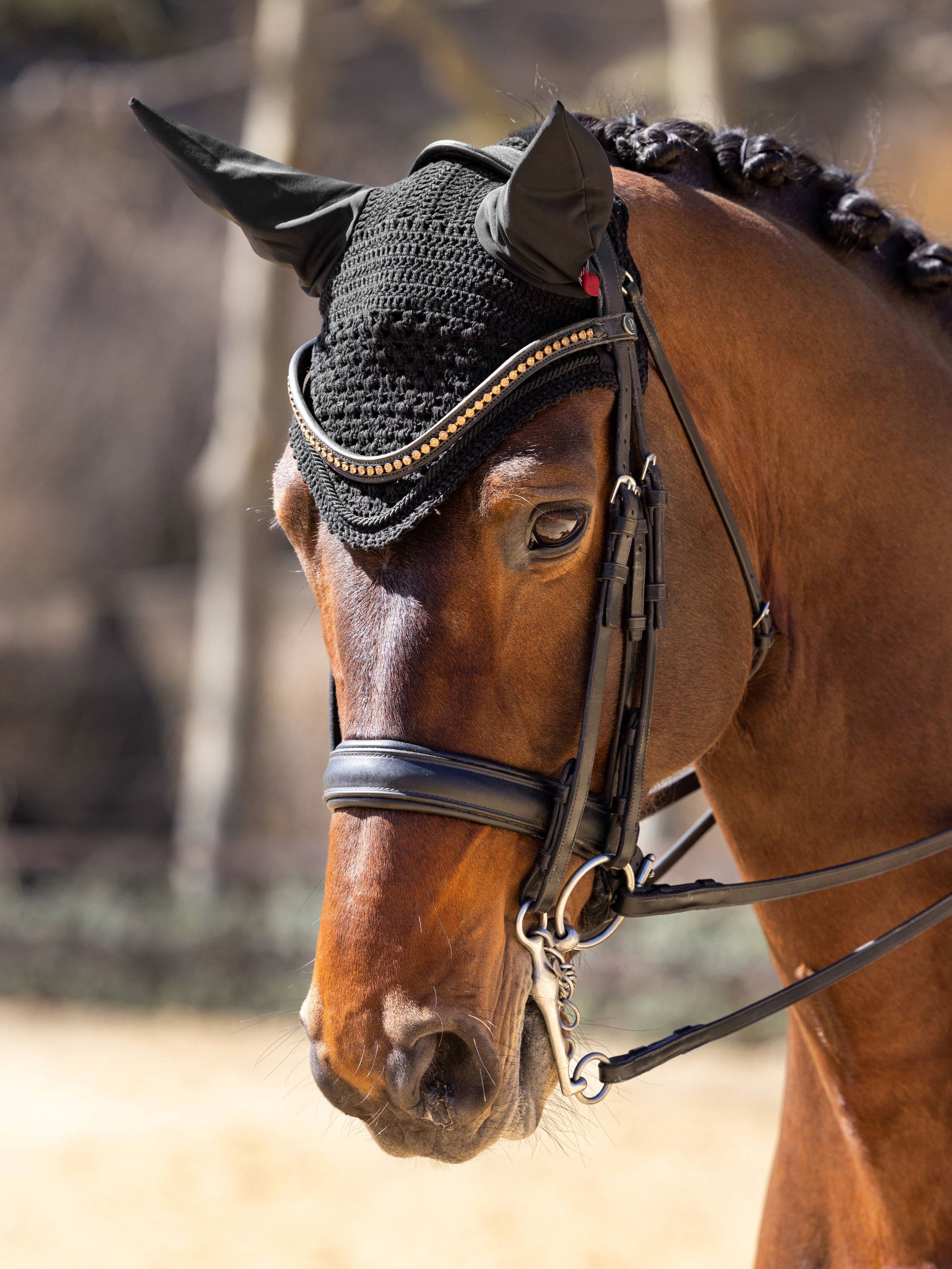 LeMieux Vogue Fly Bonnet-English Accessories-LeMieux-Medium (Cob)-Black-Evolution Equestrian Co.