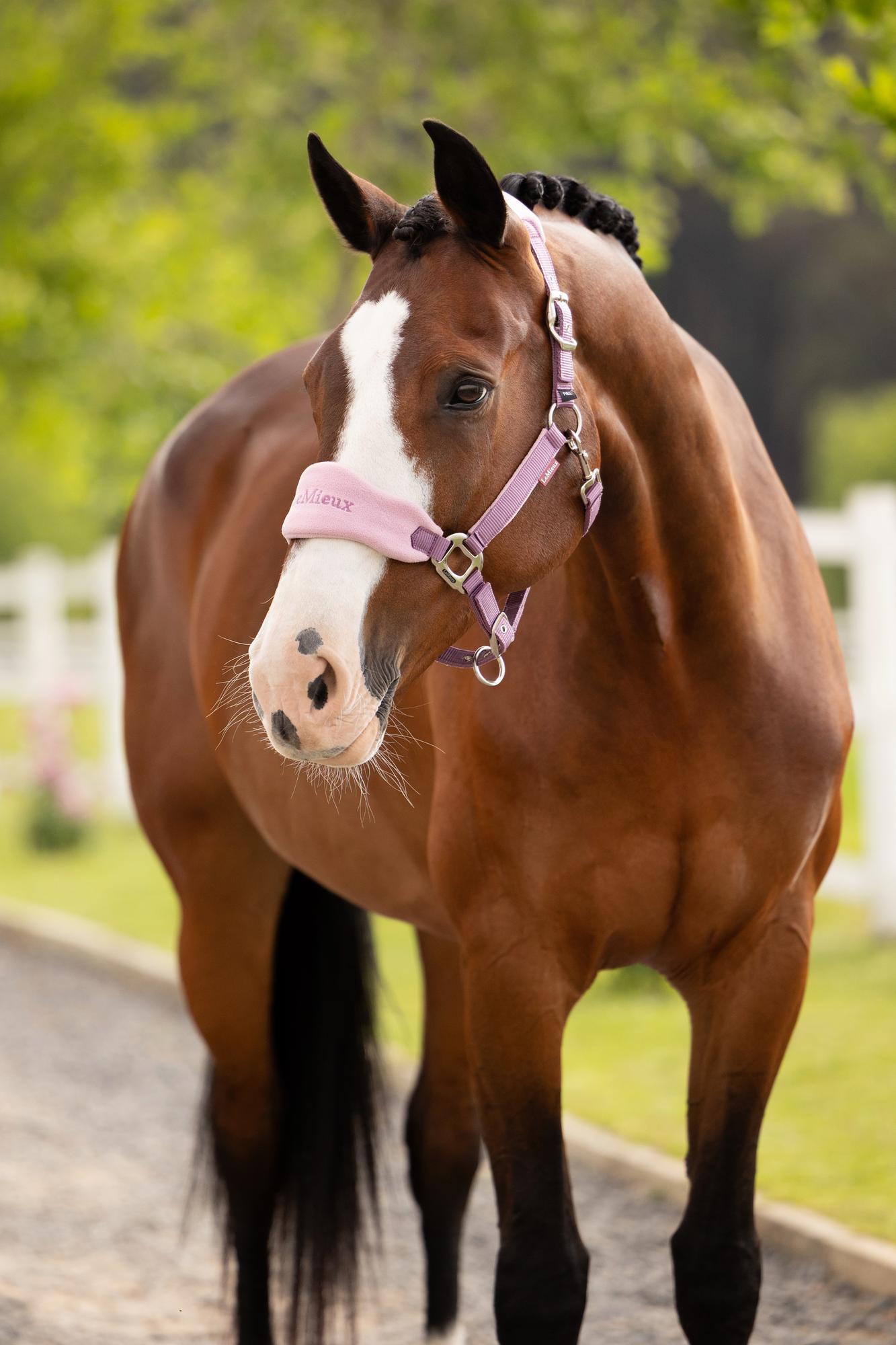 LeMieux Vogue Halter and Leadrope Mallow-Halter-LeMieux-Pony-Evolution Equestrian Co.