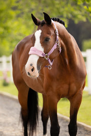 LeMieux Vogue Halter and Leadrope Mallow-Halter-LeMieux-Pony-Evolution Equestrian Co.