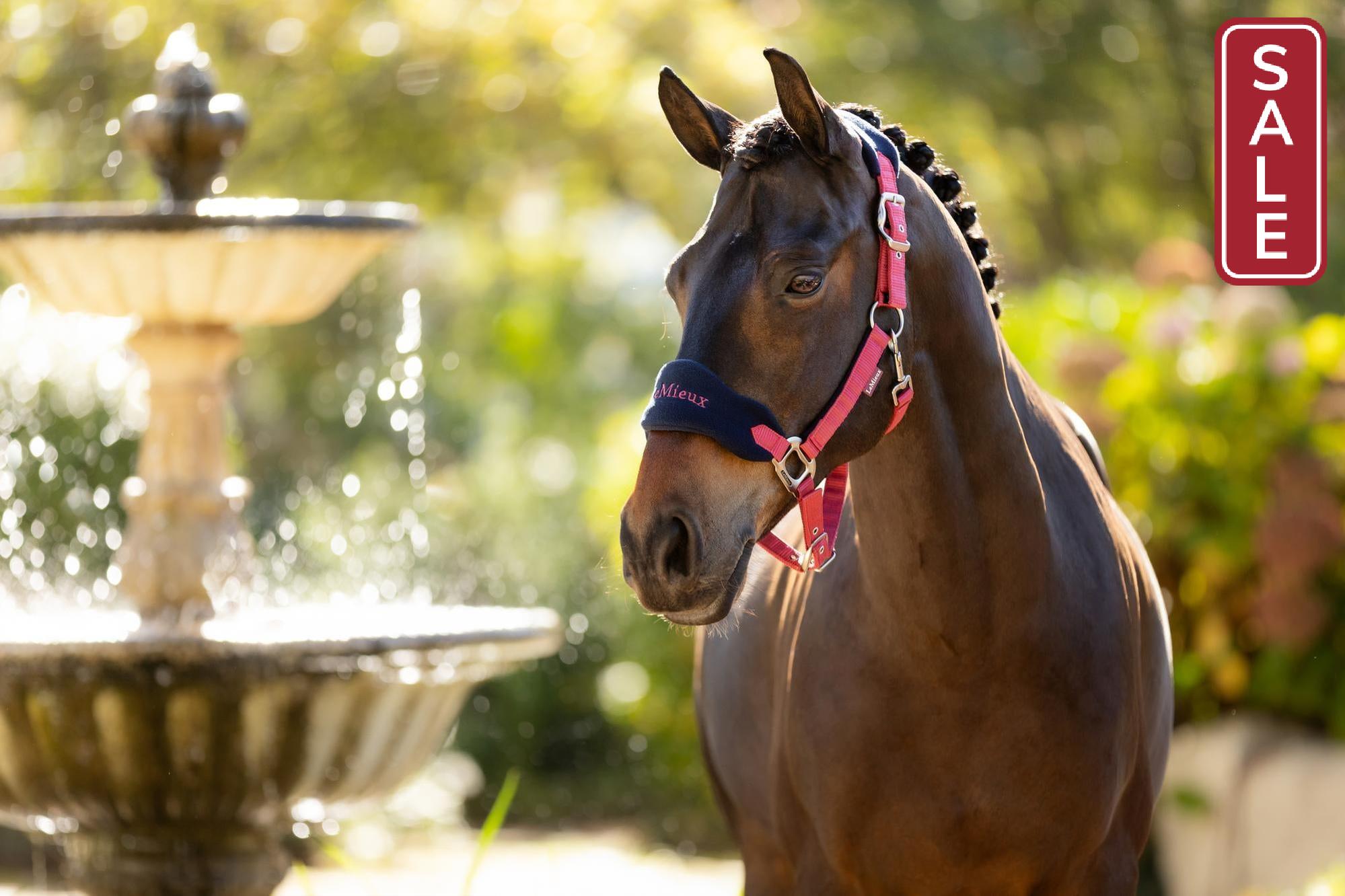 LeMieux Vogue Halter with Leadrope Cranberry-Halter-LeMieux-Pony-Evolution Equestrian Co.