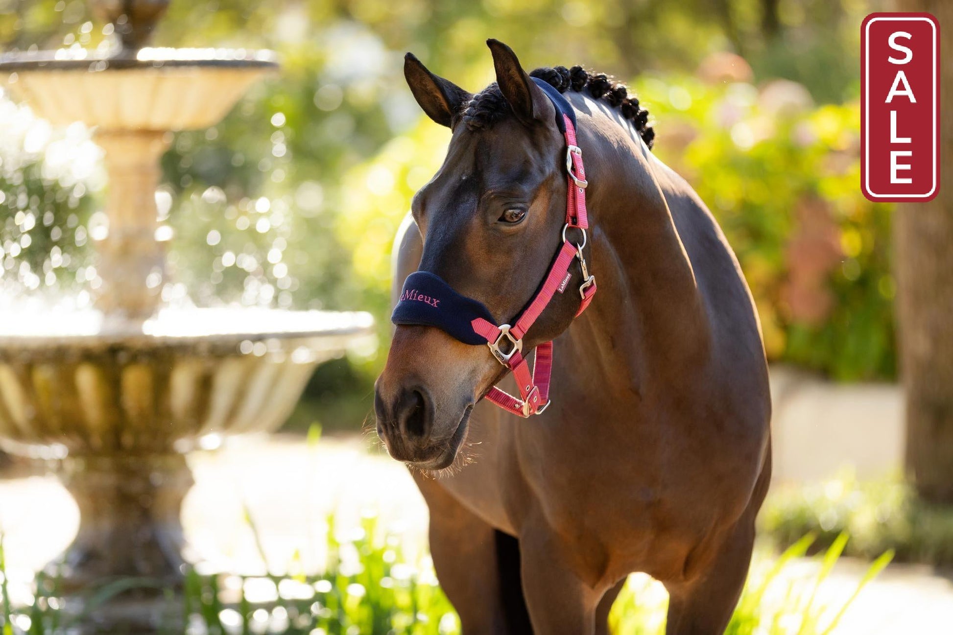 LeMieux Vogue Halter with Leadrope Cranberry-Halter-LeMieux-Pony-Evolution Equestrian Co.