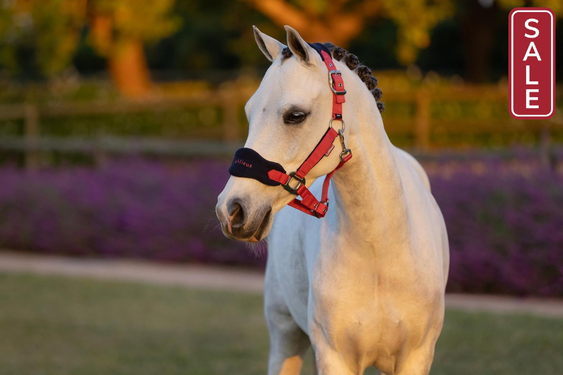 LeMieux Vogue Halter with Leadrope Cranberry-Halter-LeMieux-Pony-Evolution Equestrian Co.