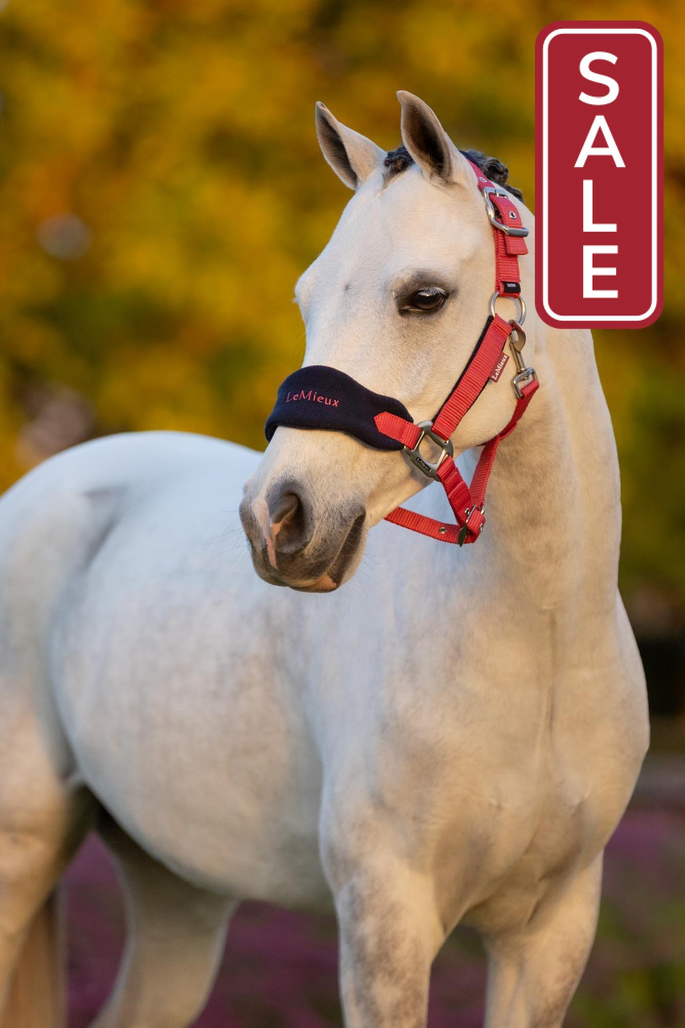 LeMieux Vogue Halter with Leadrope Cranberry-Halter-LeMieux-Pony-Evolution Equestrian Co.