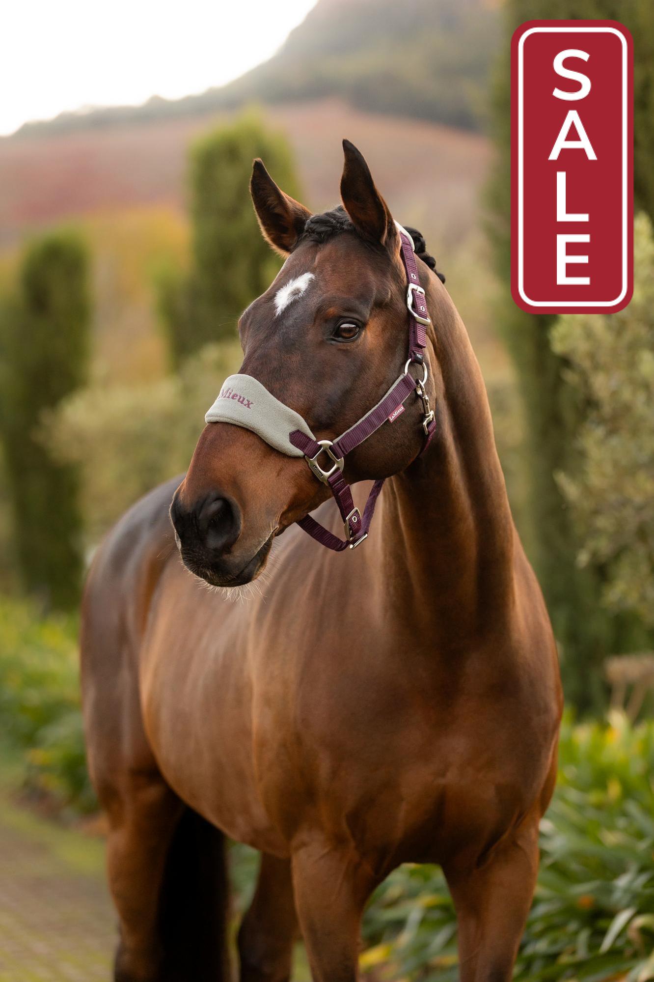 LeMieux Vogue Halter with Leadrope Damson-Halter-LeMieux-Pony-Evolution Equestrian Co.